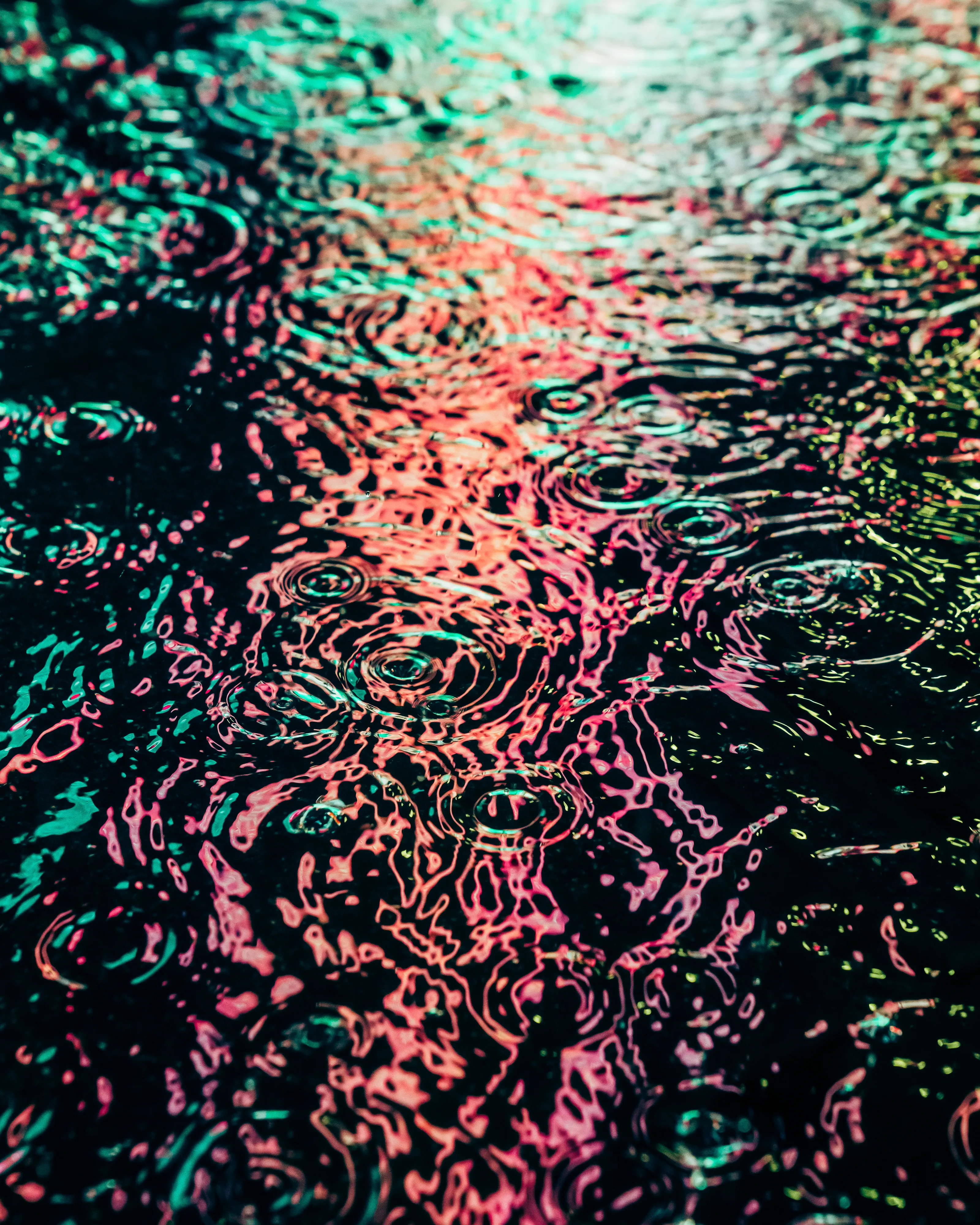 Drip Drop is an ode to the generative beauty of a universe unwinding. 1111 1/1 photographs of rain hitting puddles in Times Square, New York City. Rarity is determined by machine vision detecting a wide range of variables.