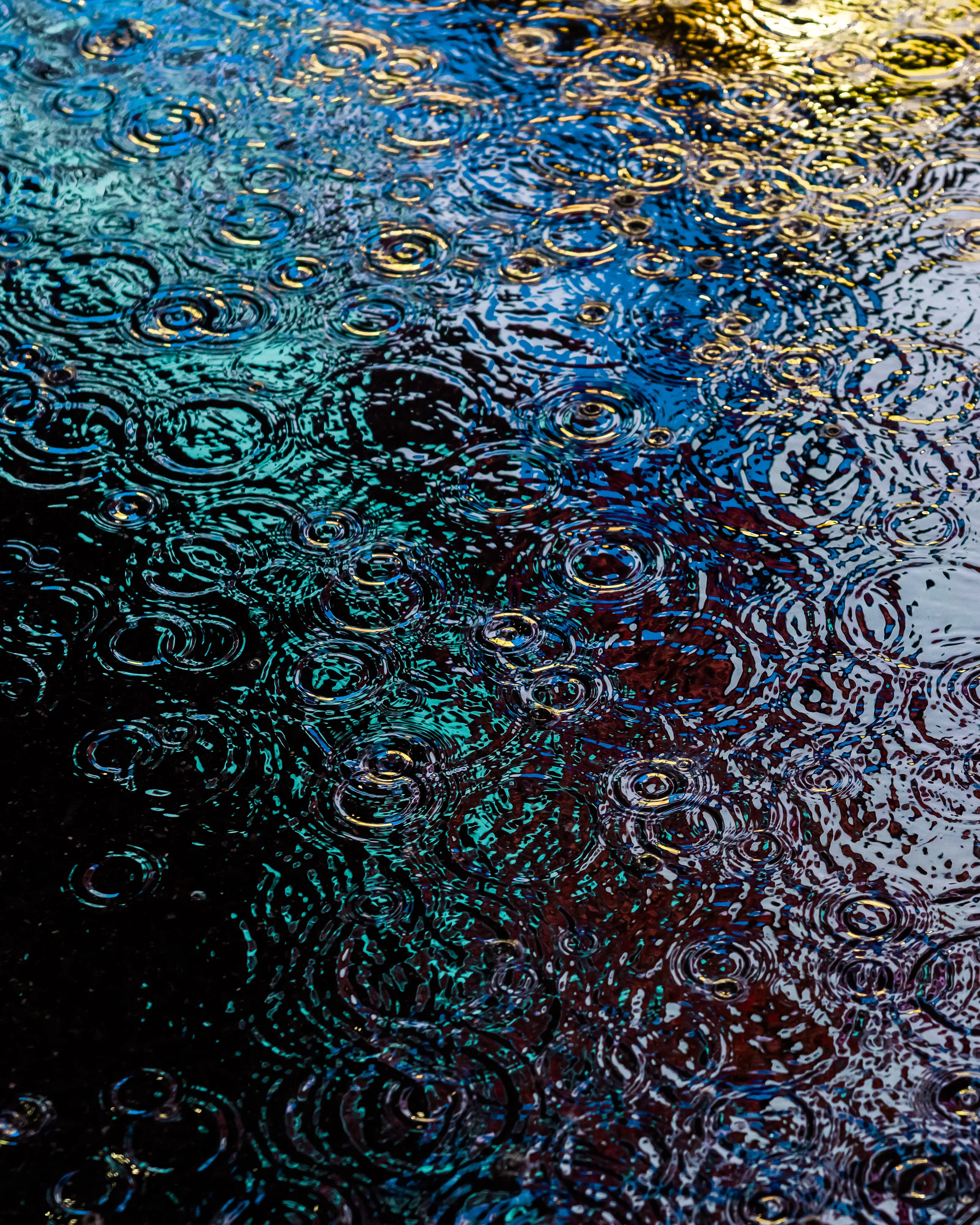 Drip Drop is an ode to the generative beauty of a universe unwinding. 1111 1/1 photographs of rain hitting puddles in Times Square, New York City. Rarity is determined by machine vision detecting a wide range of variables.