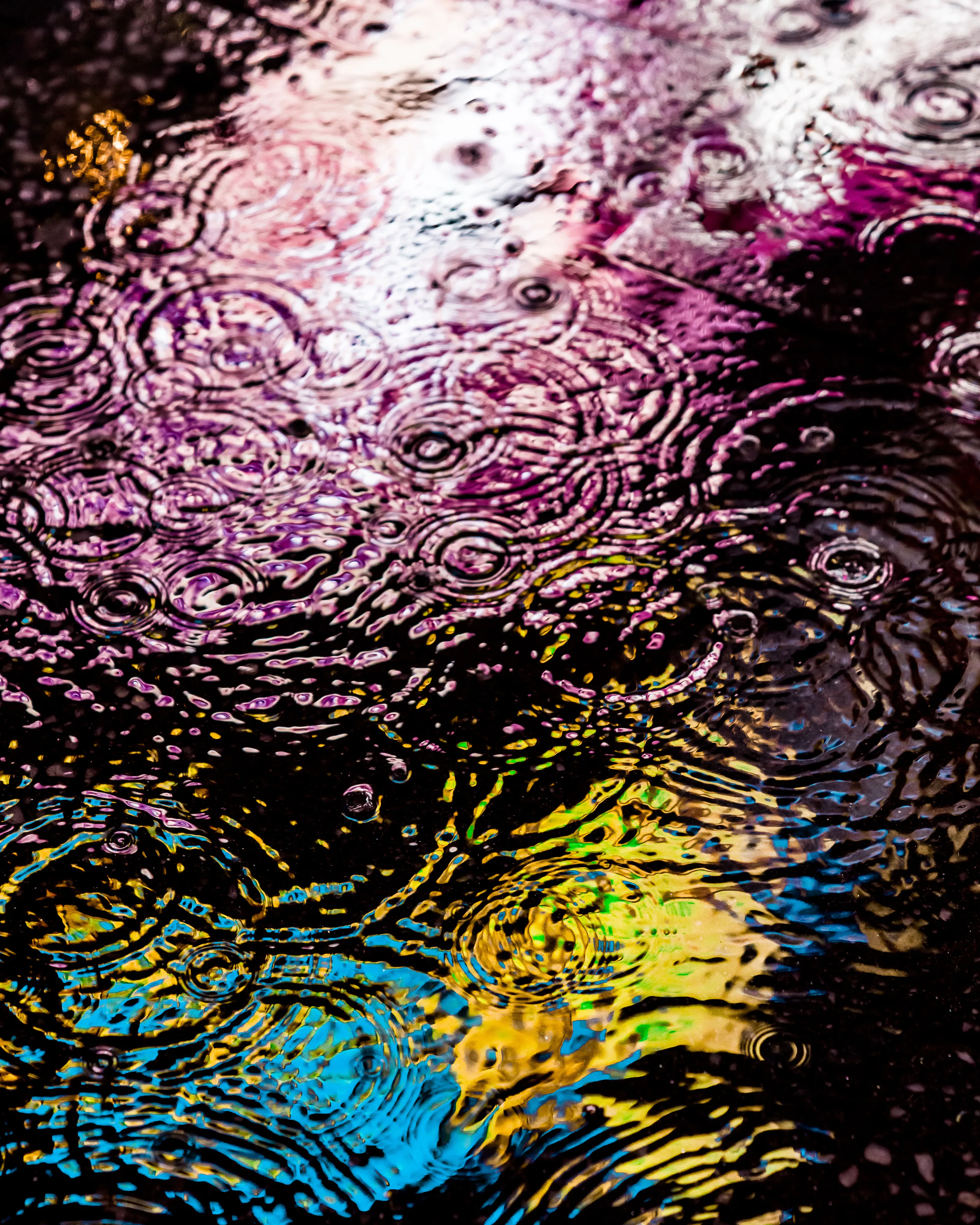 Drip Drop is an ode to the generative beauty of a universe unwinding. 1111 1/1 photographs of rain hitting puddles in Times Square, New York City. Rarity is determined by machine vision detecting a wide range of variables.