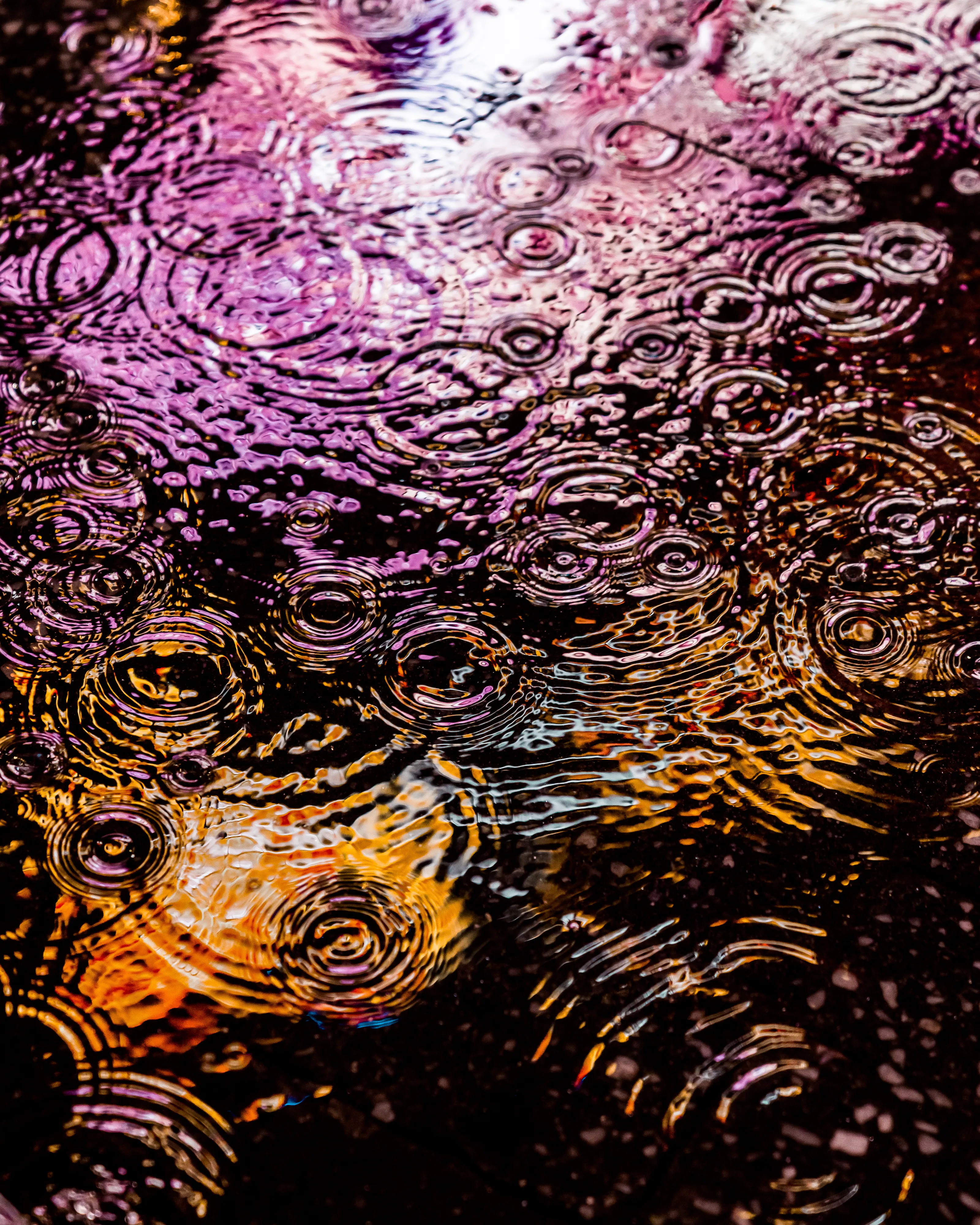 Drip Drop is an ode to the generative beauty of a universe unwinding. 1111 1/1 photographs of rain hitting puddles in Times Square, New York City. Rarity is determined by machine vision detecting a wide range of variables.