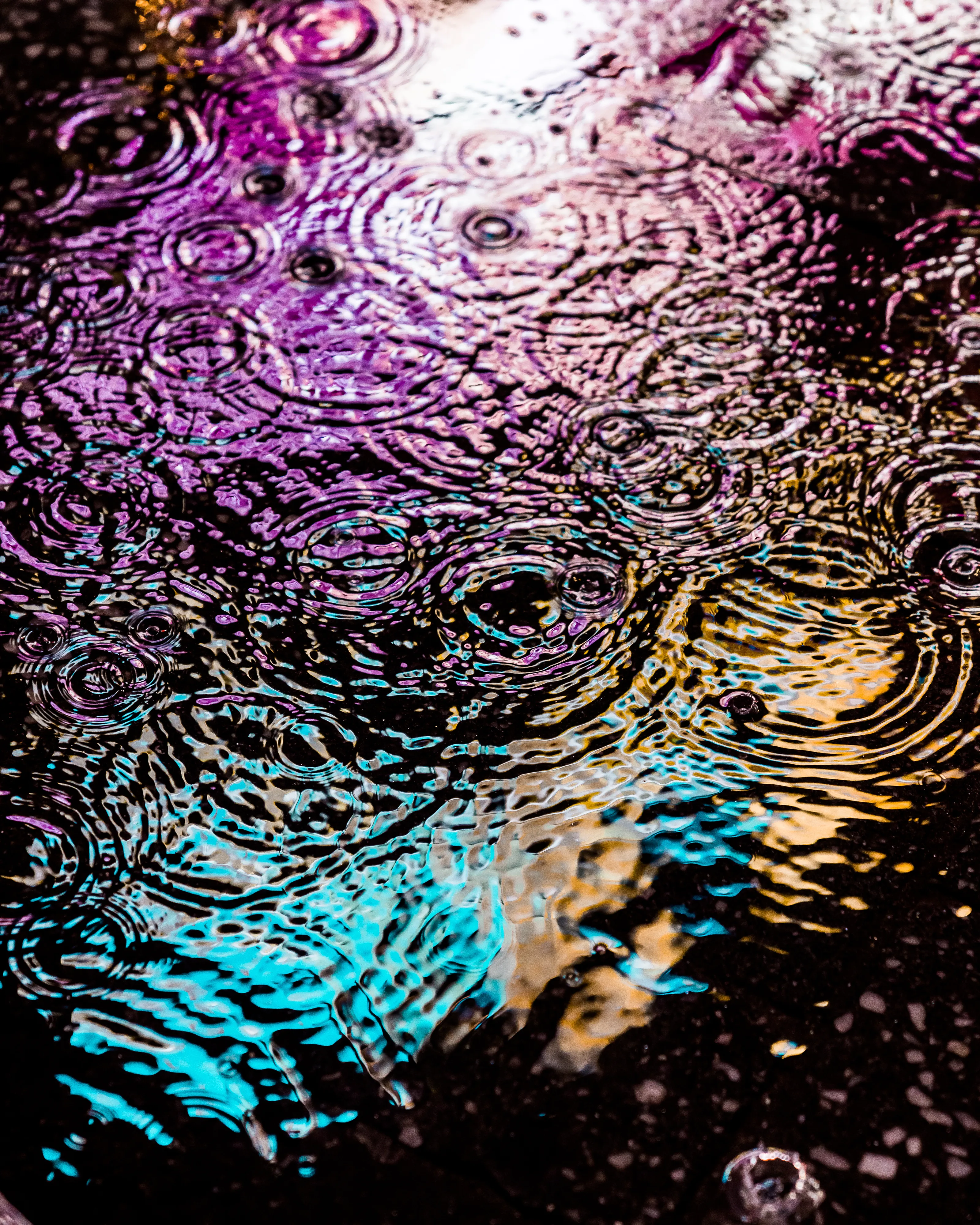 Drip Drop is an ode to the generative beauty of a universe unwinding. 1111 1/1 photographs of rain hitting puddles in Times Square, New York City. Rarity is determined by machine vision detecting a wide range of variables.