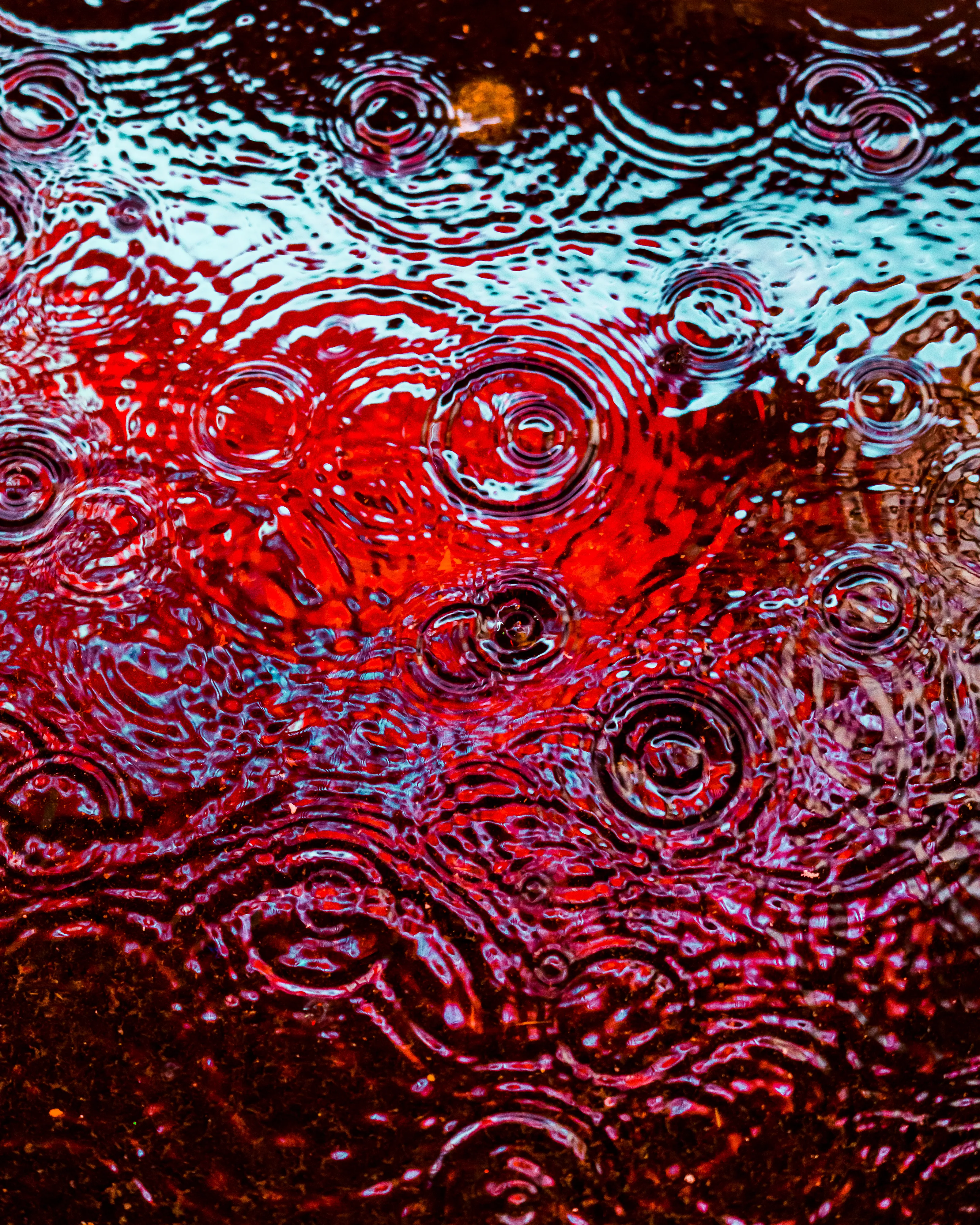 Drip Drop is an ode to the generative beauty of a universe unwinding. 1111 1/1 photographs of rain hitting puddles in Times Square, New York City. Rarity is determined by machine vision detecting a wide range of variables.