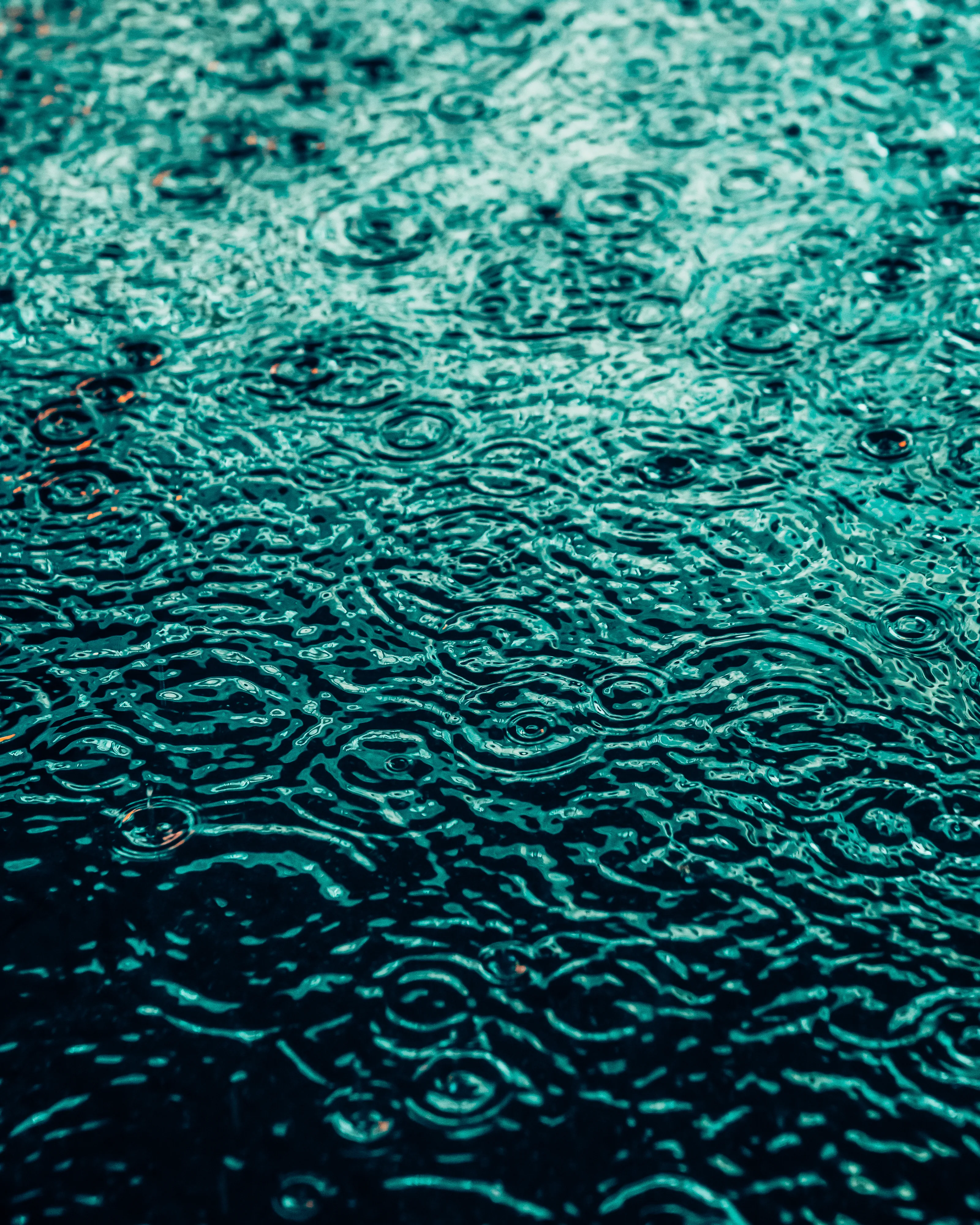 Drip Drop is an ode to the generative beauty of a universe unwinding. 1111 1/1 photographs of rain hitting puddles in Times Square, New York City. Rarity is determined by machine vision detecting a wide range of variables.