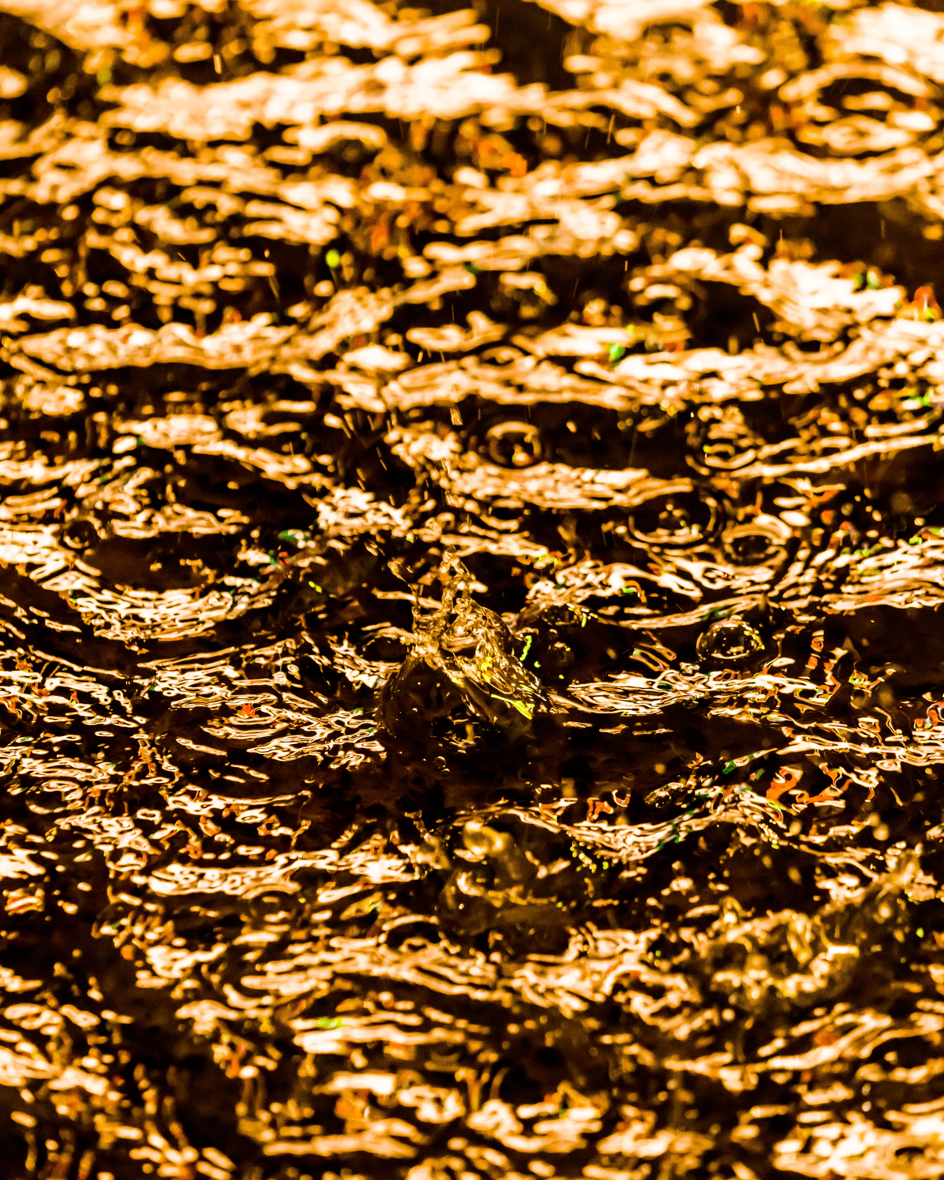 Drip Drop is an ode to the generative beauty of a universe unwinding. 1111 1/1 photographs of rain hitting puddles in Times Square, New York City. Rarity is determined by machine vision detecting a wide range of variables.