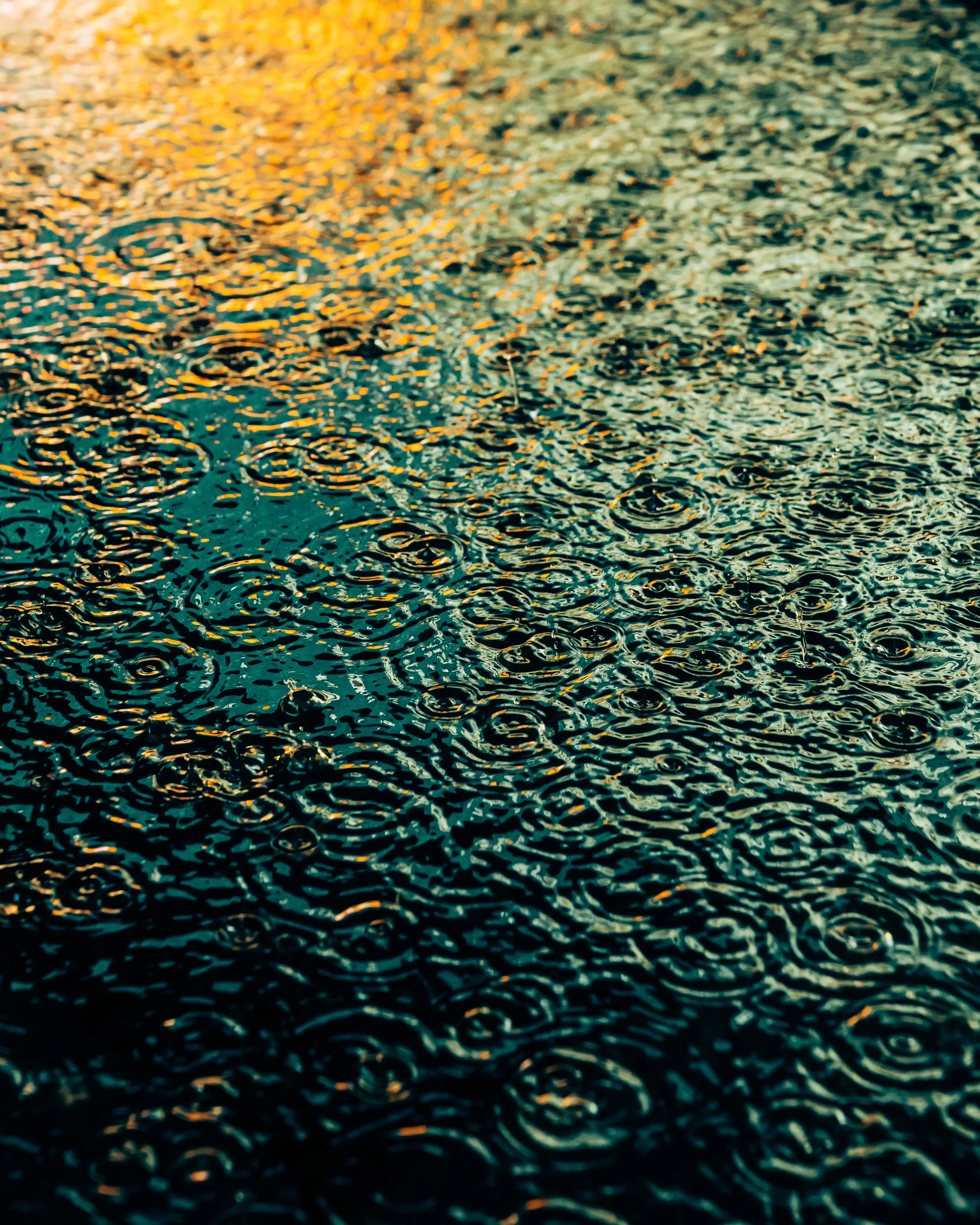 Drip Drop is an ode to the generative beauty of a universe unwinding. 1111 1/1 photographs of rain hitting puddles in Times Square, New York City. Rarity is determined by machine vision detecting a wide range of variables.