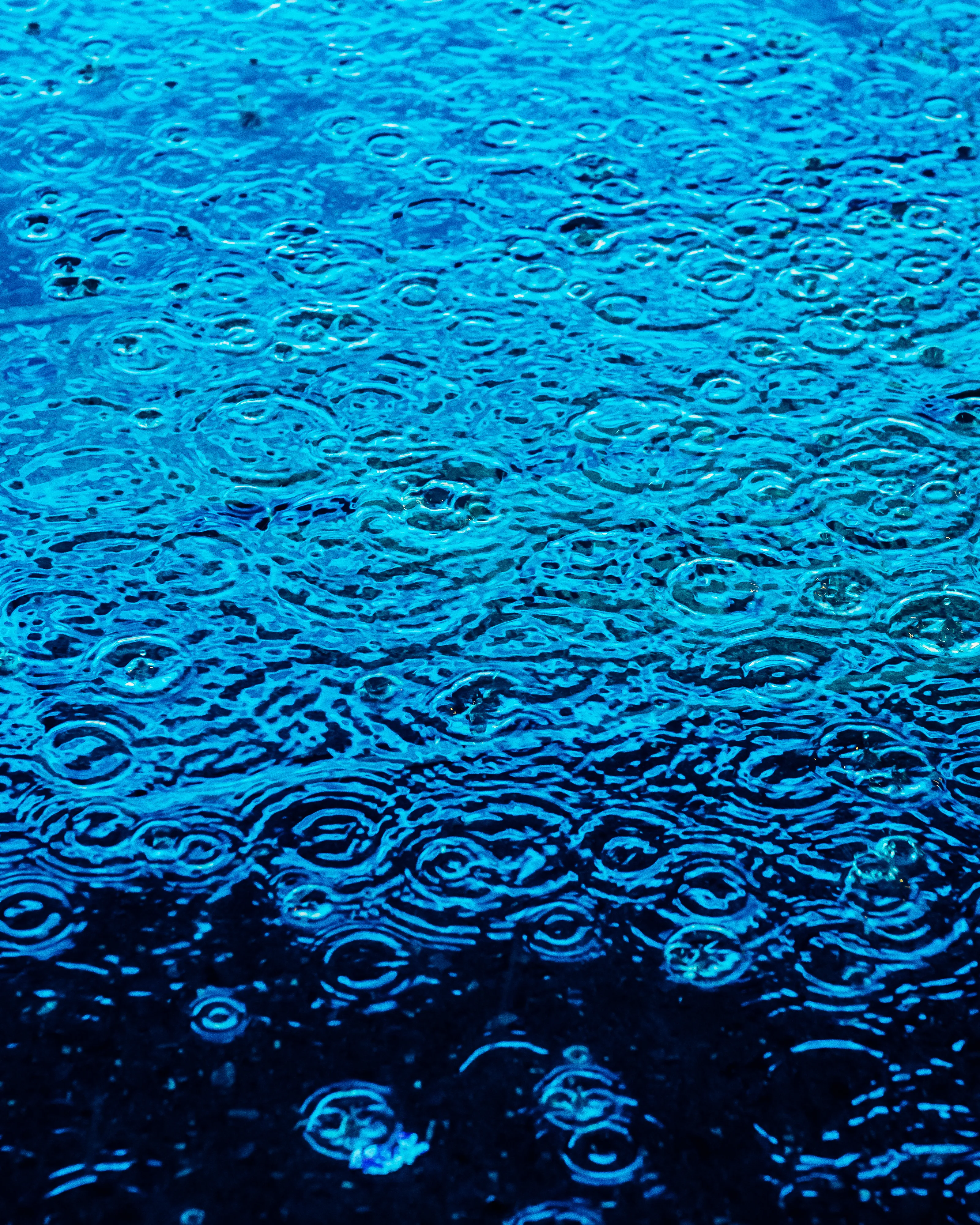 Drip Drop is an ode to the generative beauty of a universe unwinding. 1111 1/1 photographs of rain hitting puddles in Times Square, New York City. Rarity is determined by machine vision detecting a wide range of variables.