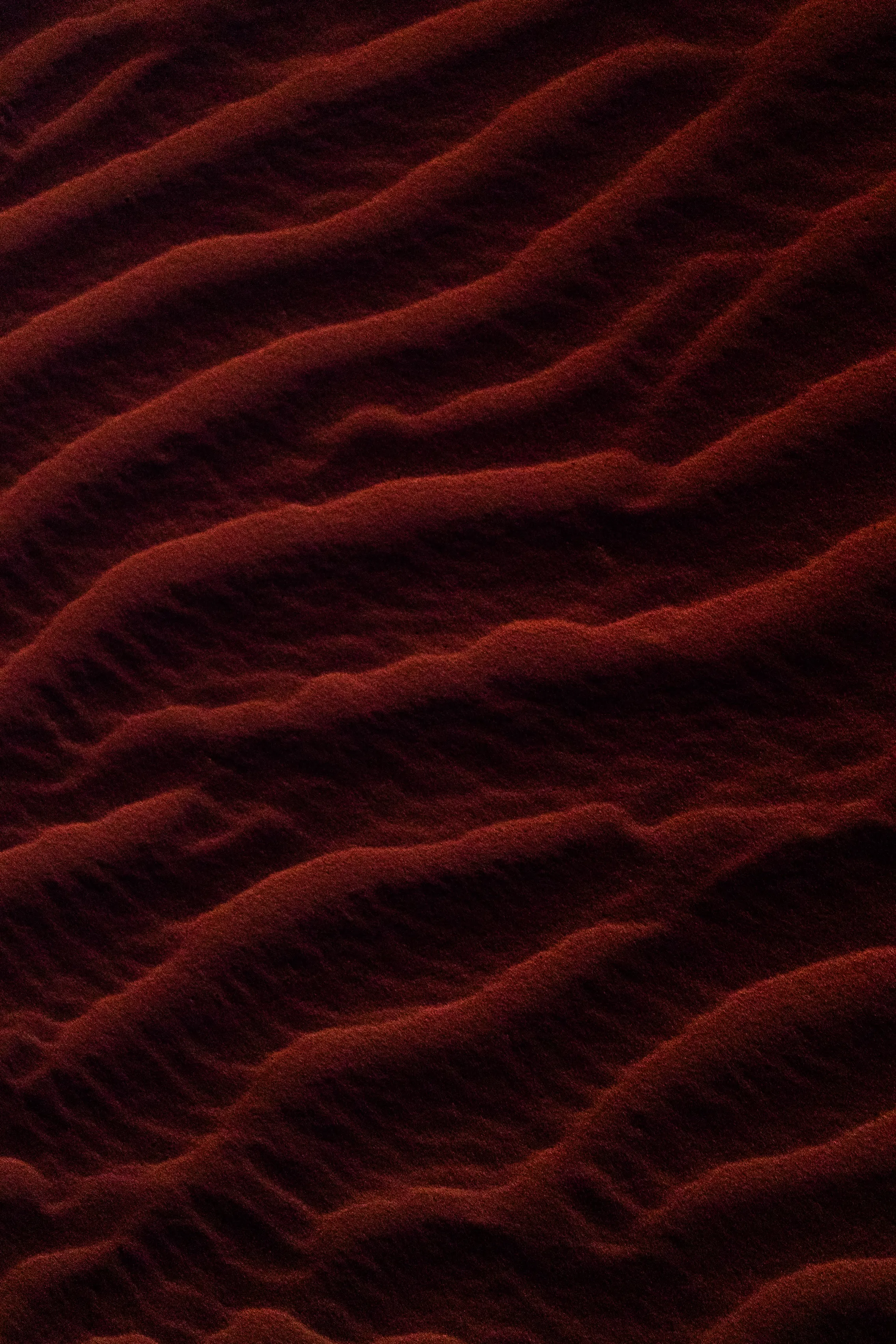 The culmination of a long journey through light and sand, through the harsh and the soft, the fleeting and the eternal. Each ripple is shaped by the elements; each grain, a fragment of an untold story. The desert’s shifting textures, illuminated by the last light of day and deepening shadows, reveal a silent narrative written by the wind.