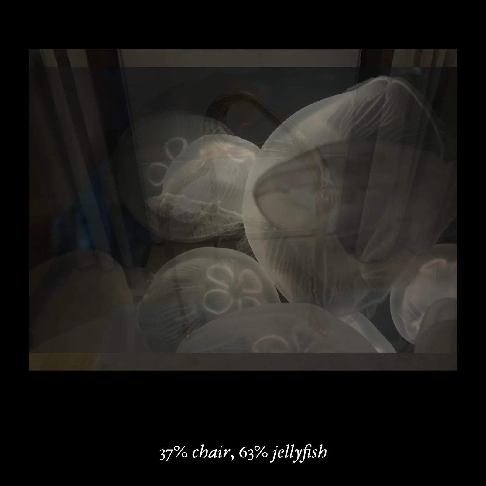 This macOS/Windows executable arises from the artist's continual research into the development and implications of computational perceptual systems. The work's structure, in which a composite image is created by overlapping a pair of animals and objects in varying opacities, draws from a technique used by researchers to trick computers into thinking they were seeing a completely novel, unseen image. The categories and images themselves follow the methodology of ImageNet, a public database of images widely used in image recognition. As described by curator Melanie Bühler in a text for _Mousse Magazine_, “The creations are stunning in their bluntness; crudely merging two pictures is apparently all it takes to trick a computer into thinking it’s seeing something it has never seen before. These images, and the catalog that specifies and quantifies their amalgamation, possess a rare quality: they are haunting and fundamentally stupid, weirdly specific and completely detached.” In a past exhibition, the work has been shown as floating, apparition-like sequences of impossible figures projected in two loops onto scrims of sheer fabric in a dark, labyrinthine space.