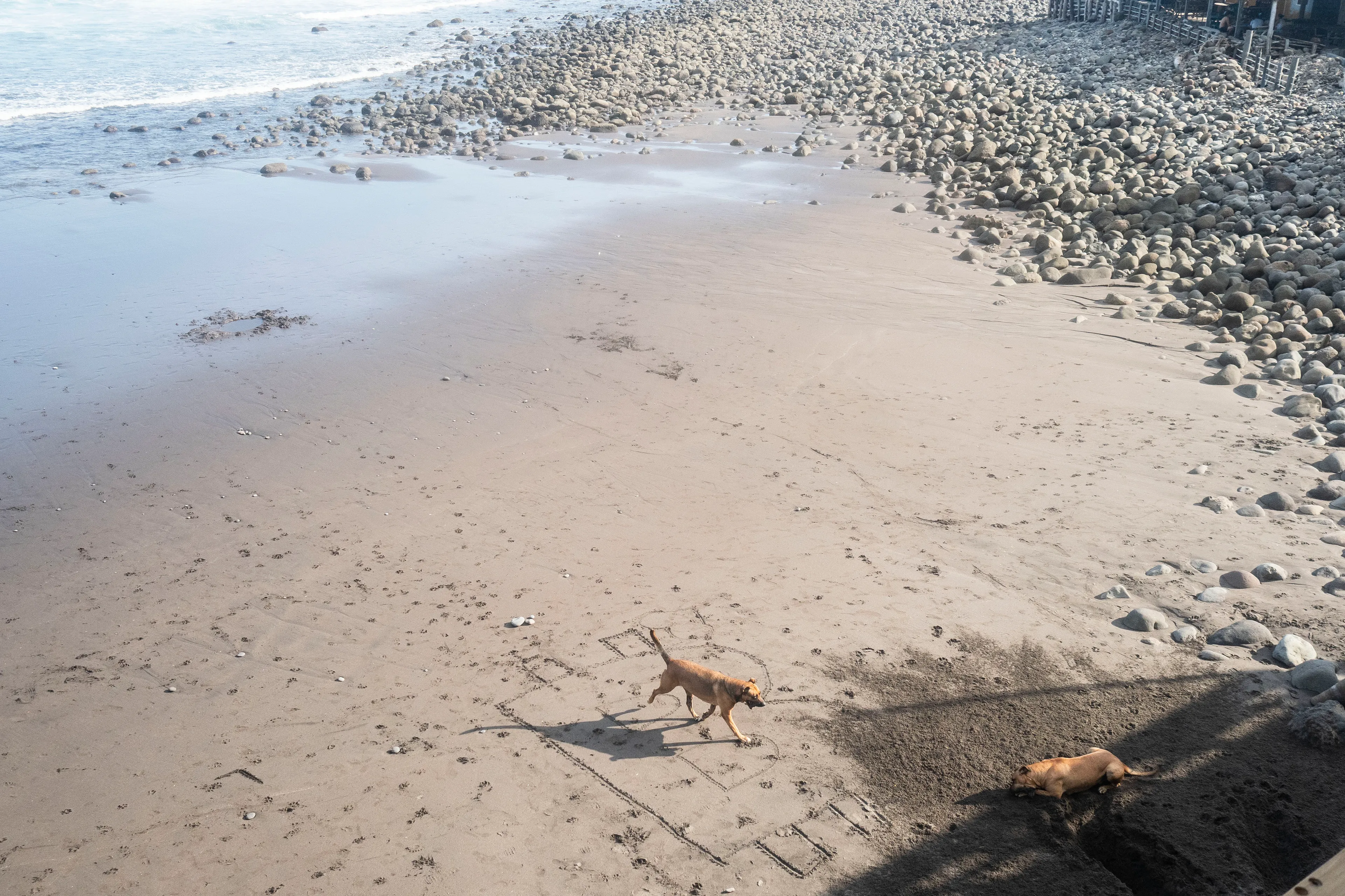 « Bitcoin Nation » #18 by Thomas Dworzak

EL SALVADOR, El Zonte, 2022/3-4. Bitcoin beach. Dogs digging a hole next to a "B".

« Bitcoin Nation » - El Salvador - Thomas Dworzak / Magnum Photos

Many photographers and journalists of my generation, interested in war and conflict, would at one point read Richard Kapusciznsky's all-time classic "The Soccer War" and watch Oliver Stone's "Salvador. » The latternow feels insanely cheesy. With the country's troubled history in mind and never having been to Central America, I found "Bitcoin Nation - El Salvador" a challenging theme to explore for this NFT project. 

I set out to straightforwardly document this alien and invisible world of bitcoin, and being 'in the realm of crypto,' I hoped it would give me access to President Nayib Bukele's surprise project. Last year he had suddenly declared Bitcoin the official currency of El Salvador - which until now was only the US dollar. The 40-year-old president of Palestinian origin started out as an anti-establishment candidate, describing himself as "the world's coolest dictator," but soon took an authoritarian turn. Yet he continues drumming the bitcoin beat, and bitcoin celebrities from all around the world keep flocking to El Salvador.
The Pacific beach town of El Zonte became "Bitcoin Beach," and "Volcano Bonds" and "Bitcoin City" are meant to be the future.

When official doors remained closed for me, I started digging for clues in the county's troubled past and present or anything, even remotely, related to the bitcoin world. Vignettes of the bloody civil war regularly popped up, and I came across a few "bitcoin events." The sudden spike of almost a hundred homicides in the course of one weekend in late March, due to what seemed a breakdown of a secret deal between the government and the two main gangs, had President Bukele declare a state of emergency, martial law and intensify the war on the gangs. I could see fringes of it. But nothing compared to the brutality of
the spectacularly filmed daily government propaganda videos of mass arrests and more-than-rough prisoner handlings I watched on TV, Twitter, and Instagram.

It was at a small bitcoin event that I found a hint why I may have been shunned and didn't get any access to show the "shiny world of Bitcoin Nation," as I had hoped. My NFT ticket was definitely the "wrong church" in the Bitcoin world. To paraphrase one of the speakers: "If I want to gamble, I go to Vegas and party with beautiful hookers, instead of being a loser, sitting around in my basement, frustrated, minting NFTs. Shitcoins."

El Salvador and the President were meant to be guests of honor at the Bitcoin 2022 conference in Miami. But due to the internal tension, he canceled the visit, and the 30+ thousand delegates had to discuss the future of bitcoin without him.

Edition: 1 of 1

Commissioned by Obscura