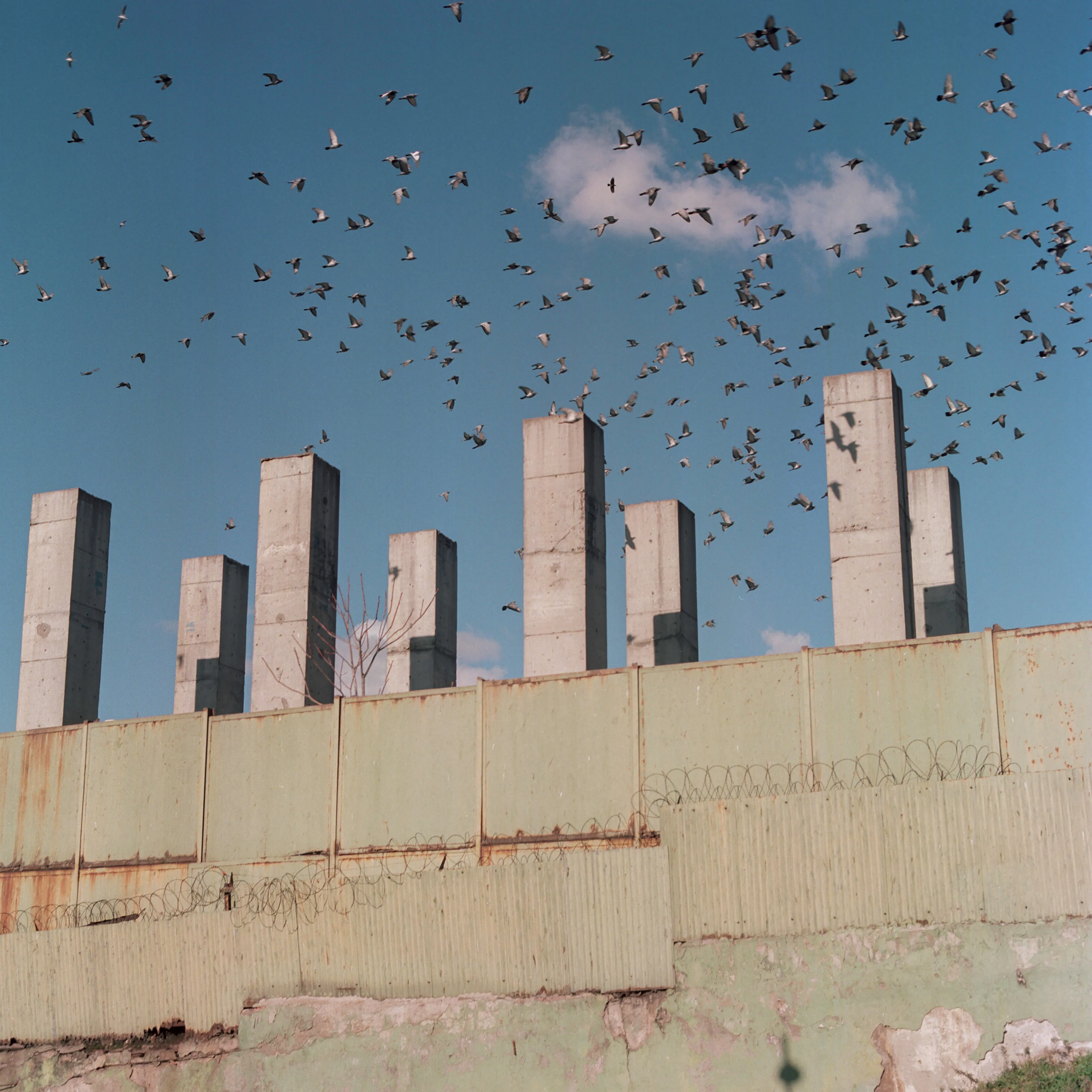 Transfiguration #22 by Sabiha Çimen

Birds flying over a construction. Istanbul, Turkey.

The impetus of this project grew out of my first book Hafız, about young girls who are memorizing Quran in schools through-out Turkey. Some marry and have children soon after graduation, but some rebel and transform themselves in a radical way; Şeyma is one of those stories of Transfiguration.

This is a world known to me because I too studied in a Quran school with my twin sister in Istanbul when I was younger.  When I returned to do my first long term photographic project l sought out familiar scenes and objects from my memory there and it was there that I met Şeyma and her unique and radical ways.

My projects usually deal with the Art of Resistance within my close circle of friends and family. In my last project the young girls' trivialities and playfulness took center stage, and now as these girls enter into adulthood they are faced with living in a world of male dominance. Sometimes, as with Şeyma, there is a need for revenge with their new found power over men and their money and habits; an inner strength coming from raw female intellect, and sexuality. 

This time my project not only focuses on the girls stories, but lies within the context of a large city- Istanbul, with its multiple layers and meanings. l am trying to provide the viewer cause and effect by viewing the different strata simultaneously and between. In the story Şeyma l am portraying her world, her fantasies, her fears, hidden love stories, songs and signs, ancient traditions, religious black-outs, and her continued spirituality that was never lost even through her Transfiguration. 


Edition: 1 of 1

Commissioned by Obscura