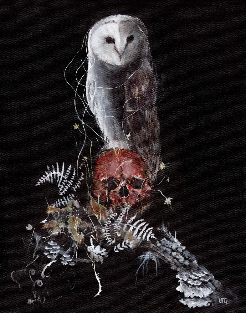 Welcome to my first owl edition. I love the idea of the quiet owl observing life and accepting all its wonders and tragedies. 