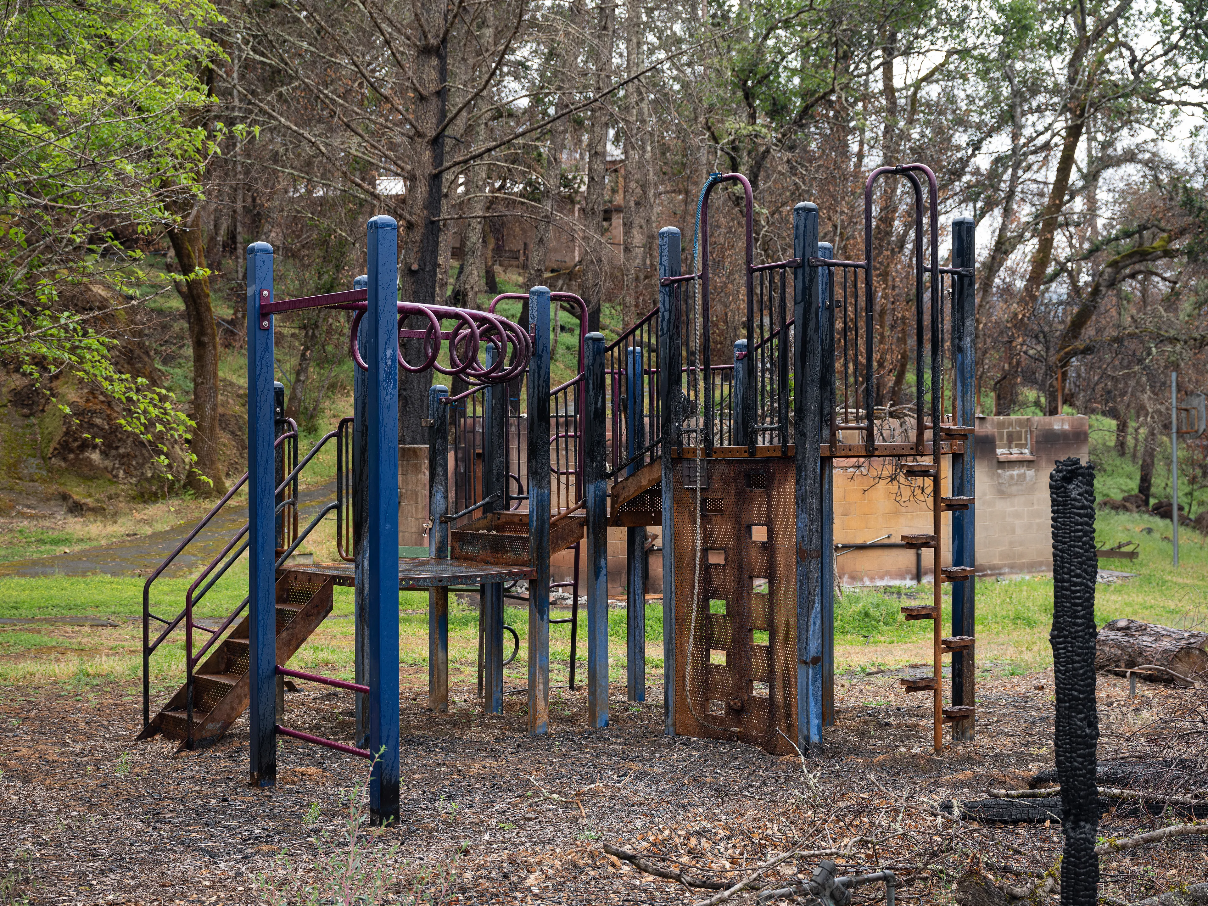 Macedonian Park After the Glass Fire (2020), Calistoga, California, 2021

Photograph by Kris Graves

Image dimensions: 4500 x 3375 pixerls