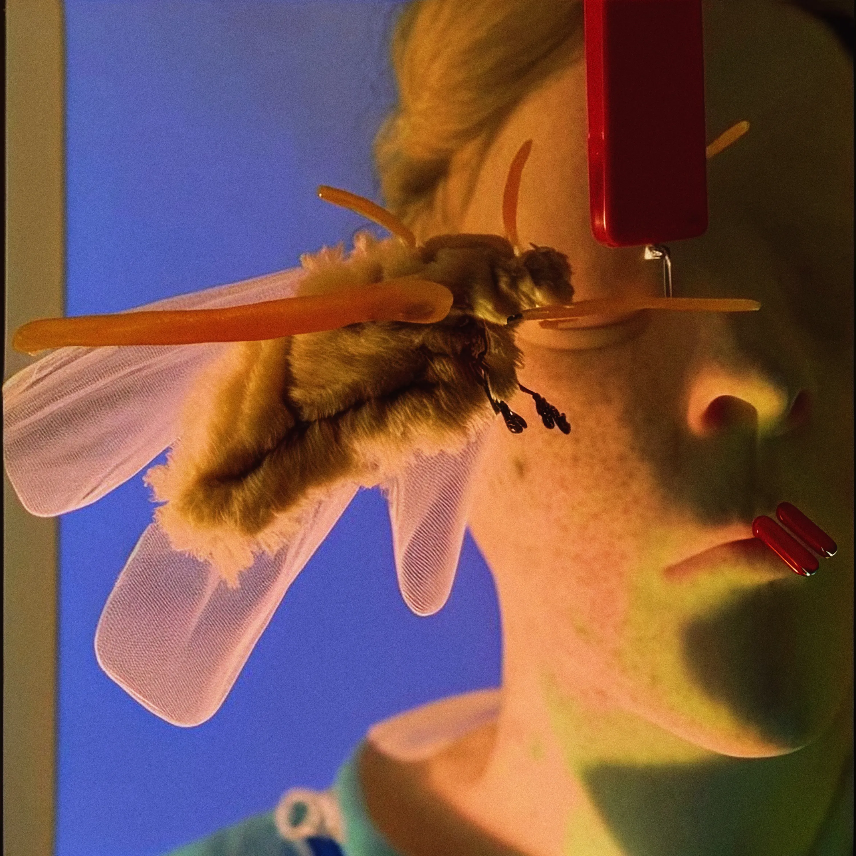Assembly presents “Bug” by Brooklyn-based artist Charlie Engman. The post-photographic works of Engman’s NFT collection question how images relate to those that have preceded and surround them, as well as the expectations we bring to images and how we interact with them. By using artificial intelligence (AI), Engman generates images that are themselves created by visual culture, yet are not otherwise bound by human logic, cultural codes, or the physical world, augmenting our reality in challenging ways. Some of the images are generated using only text prompts; some are made by mixing pre-existing imagery and text; some are amalgamations of several types of images. These unusual creatures that recur throughout the series, the bugs become the protagonist provoking important questions in art-making such as hierarchy, consent, access, labor, technique, and the mythos of individual genius.

Charlie Engman is a visual artist based in Brooklyn, NY. His images capture the sculptural potential of an action, caught in the moment of becoming something other than itself. Engman’s commissioned work has appeared in publications such as AnOther Magazine, Dazed, Garage, The New York Times, American Vogue and more. He has been used by clients such as Prada, Adidas, Hermès, Kenzo, Nike, Stella McCartney, and Vivienne Westwood. Charlie has expanded his talents to both styling and design, and also works as the Art Director for the fashion brand Collina Strada. In addition to his many fashion credits he also has exhibited internationally at Fotomuseum Winterthur, FOAM Museum Amsterdam, Contact Photography Festival (Toronto), Lishui International Photography Festival, Manchester Art Gallery, and Asama International Festival in Japan. His first monograph, MOM, a collection of images of his mother made over the course of more than a decade was published by Edition Patrick Frey in Spring 2020.