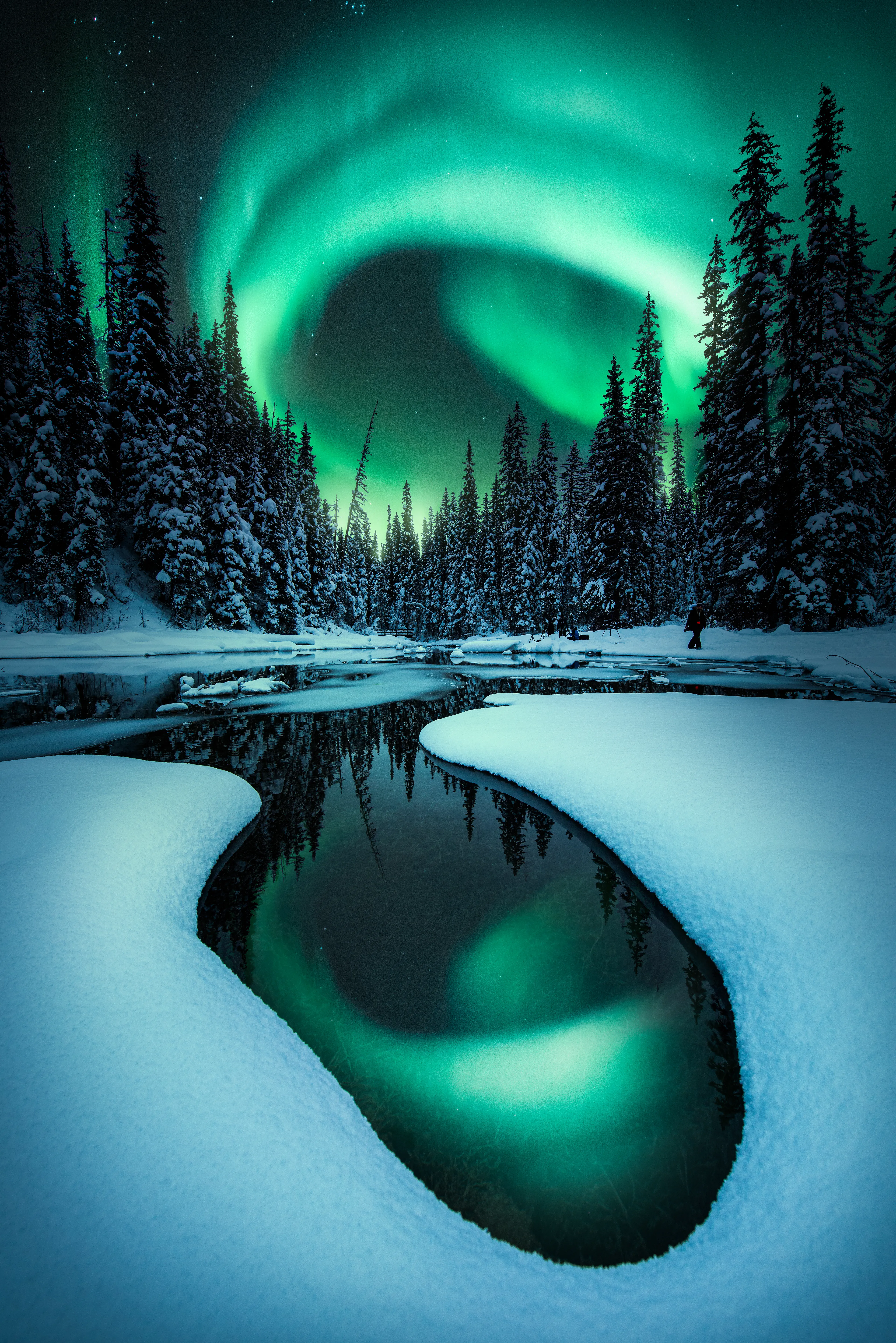 I made this image depicting the phantom green light dancing high above a half frozen lake deep within the Canadian Rockies. A unique one of a kind creative piece I made from the depths of my otherworldly vision. Each of my pieces are crafted in a very different unique way to portray a sense of emotion to each of my viewers and collectors. 

Image size 4912x7360 high resolution 300dpi

The collector of this piece will receive a metal print of this art shipped to their door. 