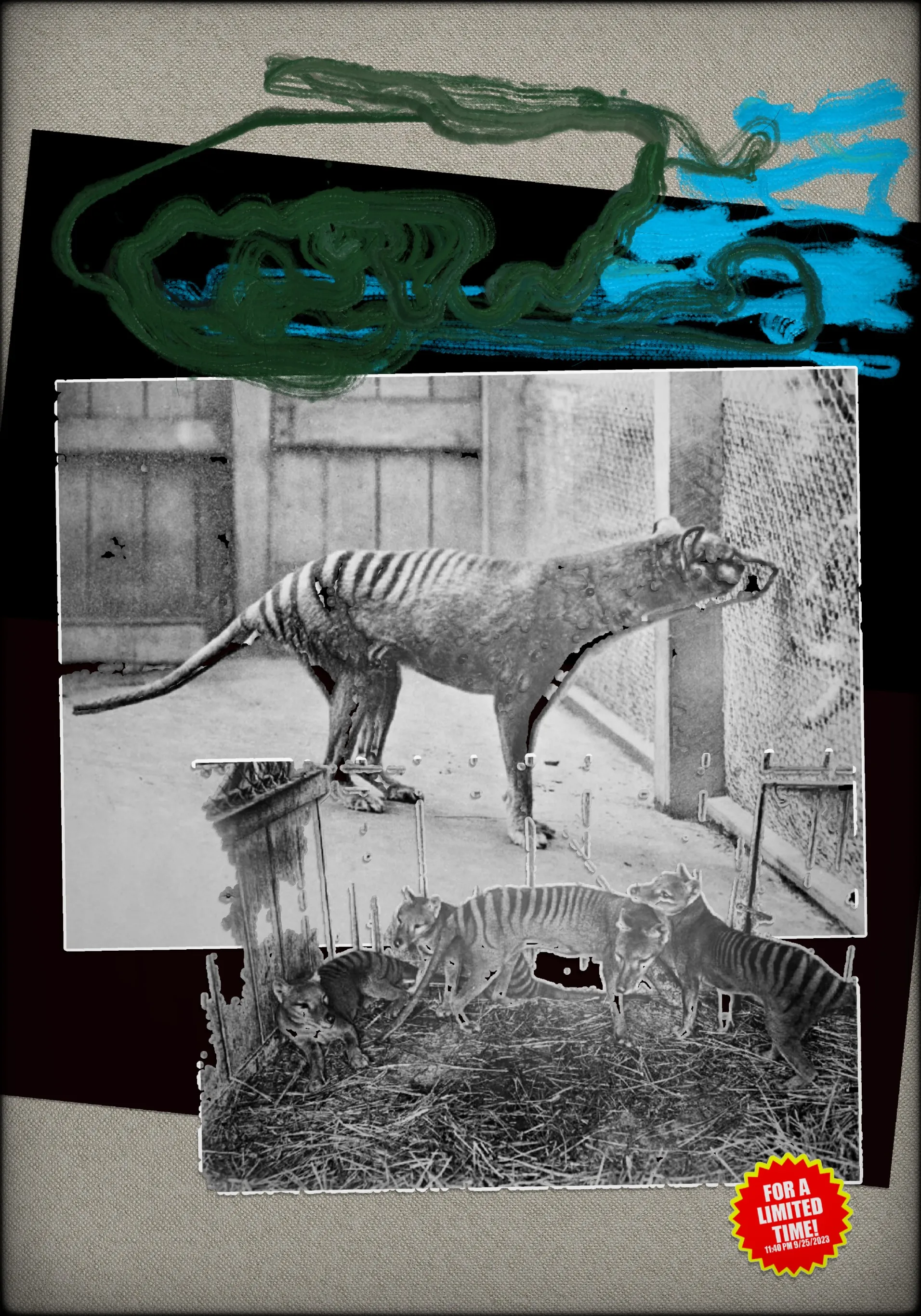 artwork thumbnail