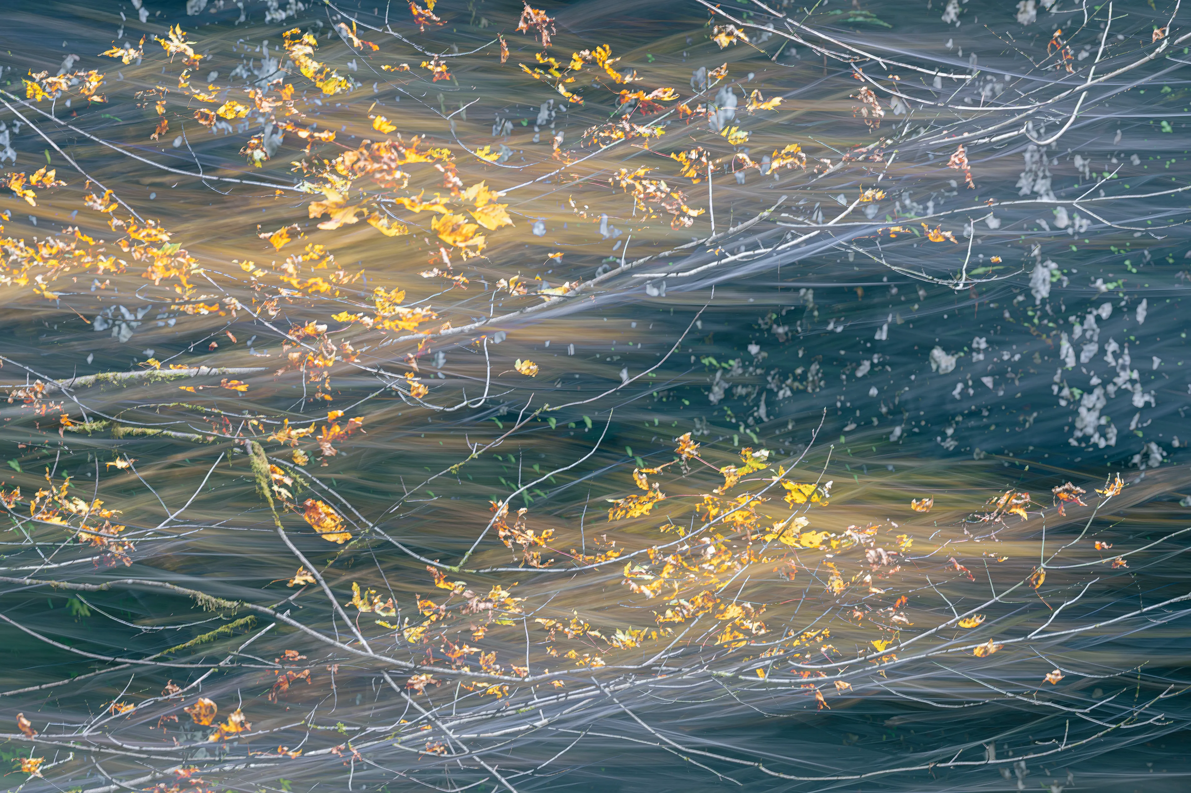 For the most part my approach to nature photography is based in literal representation. Even if the resulting photograph would take on more of an abstract form due to isolation and omission of the surrounding environment, the experience of photographing it and developing a relationship with it is always based in reality and a sense of photographing a specific THING whether it be a play of light, a unique moment in time, or an interesting subject. It still is and always will be because at the base of everything, that's the primary way that I interact with and experience nature.

This explorational series comes from a different emotional and mental place. These photos were taken not with the intent of that literal representation mentioned above but from a more visceral place, based more in an emotional reaction to what and where I'm photographing and putting pieces of the experience together into a single frame.They’re the result of a need to bring more fun and less pressure into my work. Honestly, it's hard to describe. But when I photograph in this way, I have noticed a distinct shift in the way that I am interpreting the environment, both mentally and emotionally, and that carries over into the way that I process the photo. Everything about making these photos feels... freeing.

I feel this approach calling to me more and more often lately. Photography has always been my antidote to the demons in my life and I’ve been busy battling a lot of them recently. By letting myself tap into a more relaxed and experimental approach I am able to push the boundaries on how I interact with the landscape, appreciating it for more than its literal inherent beauty and diving deeper into the things that make it special. It allows me to become more in touch with what ELSE nature is and what else it can be, further strengthening my relationship with it.

Another distinction between these images and the images in my other galleries is that often I'm not even sure how I made them. Sure I know which techniques I used, but in the process of taking the photograph I am blending different types of photos with different settings in-camera and not paying attention to the specific process. I'm mixing and matching and switching and experimenting. In my usual interactions with nature I am extremely cognizant of every decision that is being made: which settings I'm using, why I'm using those settings, the composition, and more. There is INTENT behind every single decision and I make them consciously despite the subconscious emotional connection and love with the subject that I’m photographing. These images are a departure from that conscious decision making.

All of these images are single frames made in camera using one or more creative camera techniques. I've purposefully left out any description of the techniques, the literal subject (though many of the subjects and techniques are easily identified), and the context in an effort to not cloud the emotional response to the images with preconceived attachments. If you find these images interesting or if they elicit emotions within you, I invite you to explore them, spend some time with them, and create your own journey.