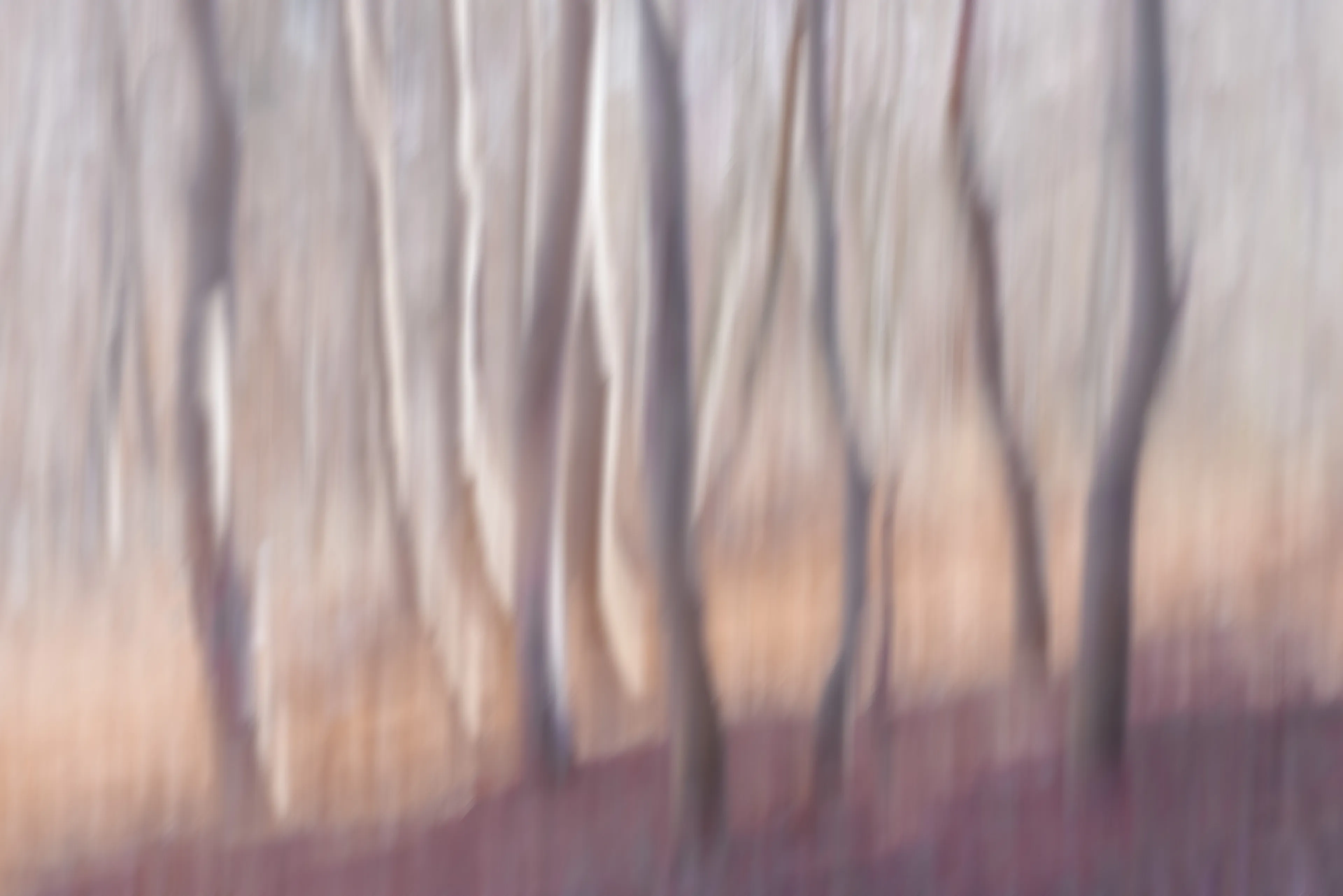 For the most part my approach to nature photography is based in literal representation. Even if the resulting photograph would take on more of an abstract form due to isolation and omission of the surrounding environment, the experience of photographing it and developing a relationship with it is always based in reality and a sense of photographing a specific THING whether it be a play of light, a unique moment in time, or an interesting subject. It still is and always will be because at the base of everything, that's the primary way that I interact with and experience nature.

This explorational series comes from a different emotional and mental place. These photos were taken not with the intent of that literal representation mentioned above but from a more visceral place, based more in an emotional reaction to what and where I'm photographing and putting pieces of the experience together into a single frame.They’re the result of a need to bring more fun and less pressure into my work. Honestly, it's hard to describe. But when I photograph in this way, I have noticed a distinct shift in the way that I am interpreting the environment, both mentally and emotionally, and that carries over into the way that I process the photo. Everything about making these photos feels... freeing.

I feel this approach calling to me more and more often lately. Photography has always been my antidote to the demons in my life and I’ve been busy battling a lot of them recently. By letting myself tap into a more relaxed and experimental approach I am able to push the boundaries on how I interact with the landscape, appreciating it for more than its literal inherent beauty and diving deeper into the things that make it special. It allows me to become more in touch with what ELSE nature is and what else it can be, further strengthening my relationship with it.

Another distinction between these images and the images in my other galleries is that often I'm not even sure how I made them. Sure I know which techniques I used, but in the process of taking the photograph I am blending different types of photos with different settings in-camera and not paying attention to the specific process. I'm mixing and matching and switching and experimenting. In my usual interactions with nature I am extremely cognizant of every decision that is being made: which settings I'm using, why I'm using those settings, the composition, and more. There is INTENT behind every single decision and I make them consciously despite the subconscious emotional connection and love with the subject that I’m photographing. These images are a departure from that conscious decision making.

All of these images are single frames made in camera using one or more creative camera techniques. I've purposefully left out any description of the techniques, the literal subject (though many of the subjects and techniques are easily identified), and the context in an effort to not cloud the emotional response to the images with preconceived attachments. If you find these images interesting or if they elicit emotions within you, I invite you to explore them, spend some time with them, and create your own journey.