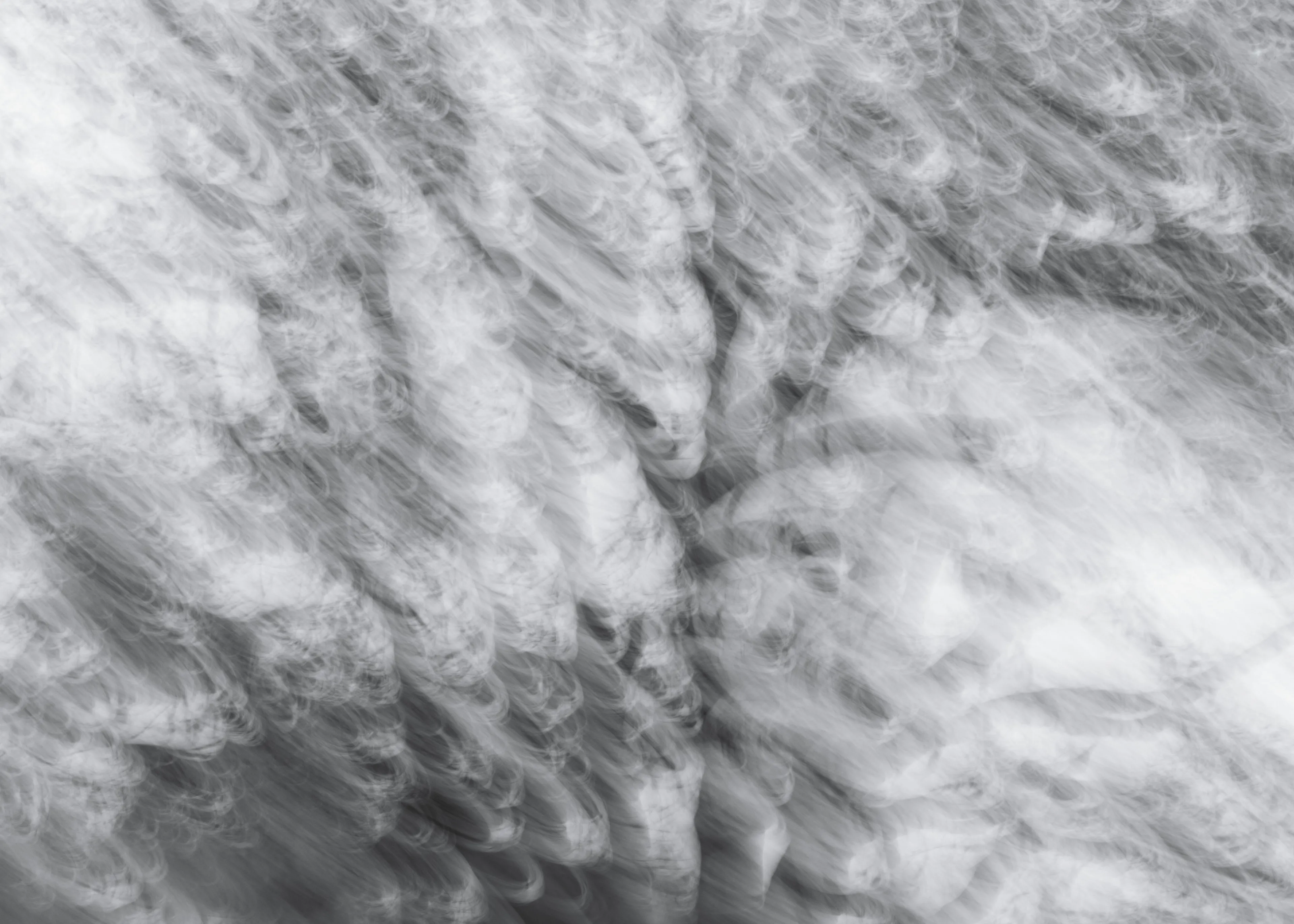For the most part my approach to nature photography is based in literal representation. Even if the resulting photograph would take on more of an abstract form due to isolation and omission of the surrounding environment, the experience of photographing it and developing a relationship with it is always based in reality and a sense of photographing a specific THING whether it be a play of light, a unique moment in time, or an interesting subject. It still is and always will be because at the base of everything, that's the primary way that I interact with and experience nature.

This explorational series comes from a different emotional and mental place. These photos were taken not with the intent of that literal representation mentioned above but from a more visceral place, based more in an emotional reaction to what and where I'm photographing and putting pieces of the experience together into a single frame.They’re the result of a need to bring more fun and less pressure into my work. Honestly, it's hard to describe. But when I photograph in this way, I have noticed a distinct shift in the way that I am interpreting the environment, both mentally and emotionally, and that carries over into the way that I process the photo. Everything about making these photos feels... freeing.

I feel this approach calling to me more and more often lately. Photography has always been my antidote to the demons in my life and I’ve been busy battling a lot of them recently. By letting myself tap into a more relaxed and experimental approach I am able to push the boundaries on how I interact with the landscape, appreciating it for more than its literal inherent beauty and diving deeper into the things that make it special. It allows me to become more in touch with what ELSE nature is and what else it can be, further strengthening my relationship with it.

Another distinction between these images and the images in my other galleries is that often I'm not even sure how I made them. Sure I know which techniques I used, but in the process of taking the photograph I am blending different types of photos with different settings in-camera and not paying attention to the specific process. I'm mixing and matching and switching and experimenting. In my usual interactions with nature I am extremely cognizant of every decision that is being made: which settings I'm using, why I'm using those settings, the composition, and more. There is INTENT behind every single decision and I make them consciously despite the subconscious emotional connection and love with the subject that I’m photographing. These images are a departure from that conscious decision making.

All of these images are single frames made in camera using one or more creative camera techniques. I've purposefully left out any description of the techniques, the literal subject (though many of the subjects and techniques are easily identified), and the context in an effort to not cloud the emotional response to the images with preconceived attachments. If you find these images interesting or if they elicit emotions within you, I invite you to explore them, spend some time with them, and create your own journey.