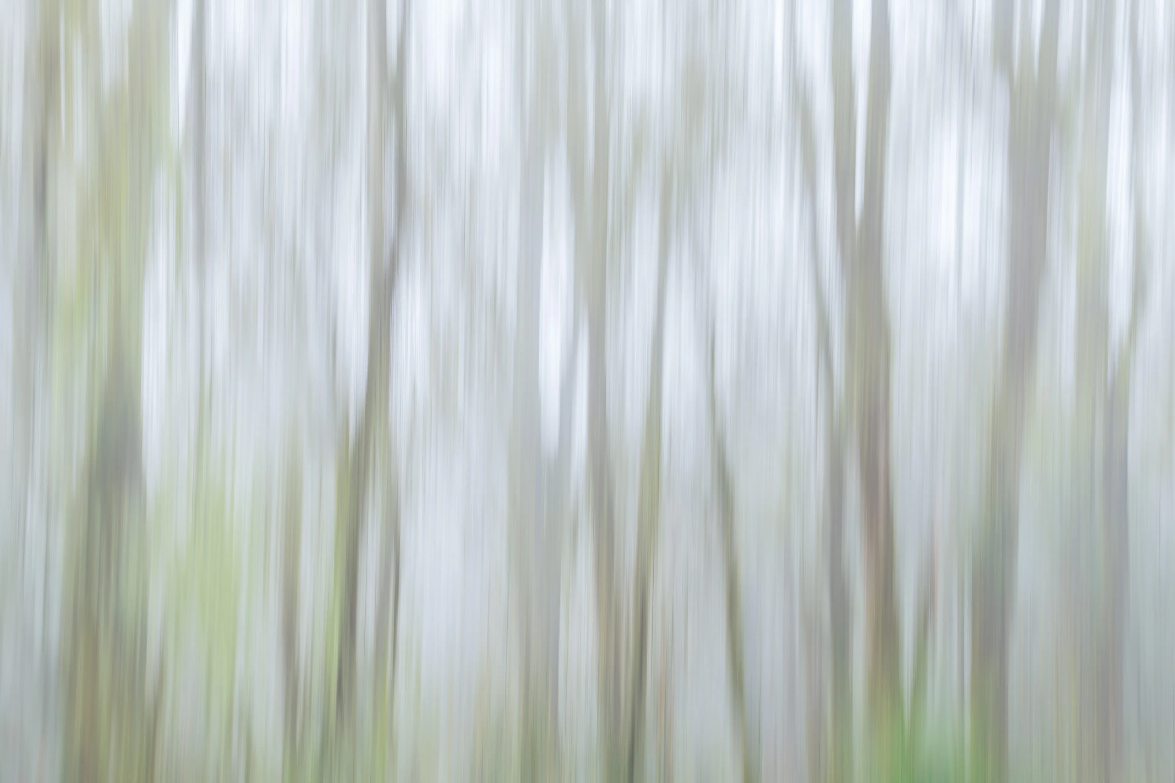 For the most part my approach to nature photography is based in literal representation. Even if the resulting photograph would take on more of an abstract form due to isolation and omission of the surrounding environment, the experience of photographing it and developing a relationship with it is always based in reality and a sense of photographing a specific THING whether it be a play of light, a unique moment in time, or an interesting subject. It still is and always will be because at the base of everything, that's the primary way that I interact with and experience nature.

This explorational series comes from a different emotional and mental place. These photos were taken not with the intent of that literal representation mentioned above but from a more visceral place, based more in an emotional reaction to what and where I'm photographing and putting pieces of the experience together into a single frame.They’re the result of a need to bring more fun and less pressure into my work. Honestly, it's hard to describe. But when I photograph in this way, I have noticed a distinct shift in the way that I am interpreting the environment, both mentally and emotionally, and that carries over into the way that I process the photo. Everything about making these photos feels... freeing.

I feel this approach calling to me more and more often lately. Photography has always been my antidote to the demons in my life and I’ve been busy battling a lot of them recently. By letting myself tap into a more relaxed and experimental approach I am able to push the boundaries on how I interact with the landscape, appreciating it for more than its literal inherent beauty and diving deeper into the things that make it special. It allows me to become more in touch with what ELSE nature is and what else it can be, further strengthening my relationship with it.

Another distinction between these images and the images in my other galleries is that often I'm not even sure how I made them. Sure I know which techniques I used, but in the process of taking the photograph I am blending different types of photos with different settings in-camera and not paying attention to the specific process. I'm mixing and matching and switching and experimenting. In my usual interactions with nature I am extremely cognizant of every decision that is being made: which settings I'm using, why I'm using those settings, the composition, and more. There is INTENT behind every single decision and I make them consciously despite the subconscious emotional connection and love with the subject that I’m photographing. These images are a departure from that conscious decision making.

All of these images are single frames made in camera using one or more creative camera techniques. I've purposefully left out any description of the techniques, the literal subject (though many of the subjects and techniques are easily identified), and the context in an effort to not cloud the emotional response to the images with preconceived attachments. If you find these images interesting or if they elicit emotions within you, I invite you to explore them, spend some time with them, and create your own journey.