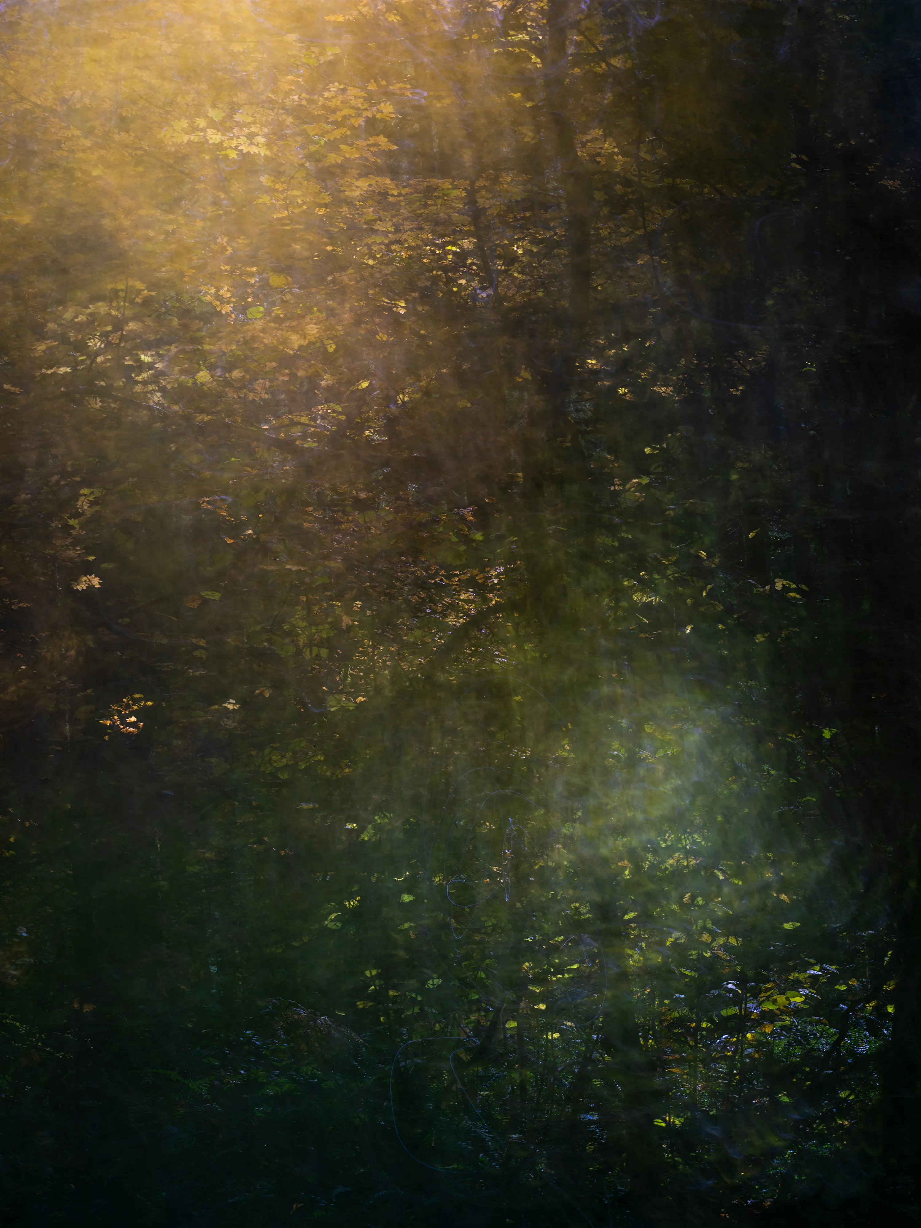 For the most part my approach to nature photography is based in literal representation. Even if the resulting photograph would take on more of an abstract form due to isolation and omission of the surrounding environment, the experience of photographing it and developing a relationship with it is always based in reality and a sense of photographing a specific THING whether it be a play of light, a unique moment in time, or an interesting subject. It still is and always will be because at the base of everything, that's the primary way that I interact with and experience nature.

This explorational series comes from a different emotional and mental place. These photos were taken not with the intent of that literal representation mentioned above but from a more visceral place, based more in an emotional reaction to what and where I'm photographing and putting pieces of the experience together into a single frame.They’re the result of a need to bring more fun and less pressure into my work. Honestly, it's hard to describe. But when I photograph in this way, I have noticed a distinct shift in the way that I am interpreting the environment, both mentally and emotionally, and that carries over into the way that I process the photo. Everything about making these photos feels... freeing.

I feel this approach calling to me more and more often lately. Photography has always been my antidote to the demons in my life and I’ve been busy battling a lot of them recently. By letting myself tap into a more relaxed and experimental approach I am able to push the boundaries on how I interact with the landscape, appreciating it for more than its literal inherent beauty and diving deeper into the things that make it special. It allows me to become more in touch with what ELSE nature is and what else it can be, further strengthening my relationship with it.

Another distinction between these images and the images in my other galleries is that often I'm not even sure how I made them. Sure I know which techniques I used, but in the process of taking the photograph I am blending different types of photos with different settings in-camera and not paying attention to the specific process. I'm mixing and matching and switching and experimenting. In my usual interactions with nature I am extremely cognizant of every decision that is being made: which settings I'm using, why I'm using those settings, the composition, and more. There is INTENT behind every single decision and I make them consciously despite the subconscious emotional connection and love with the subject that I’m photographing. These images are a departure from that conscious decision making.

All of these images are single frames made in camera using one or more creative camera techniques. I've purposefully left out any description of the techniques, the literal subject (though many of the subjects and techniques are easily identified), and the context in an effort to not cloud the emotional response to the images with preconceived attachments. If you find these images interesting or if they elicit emotions within you, I invite you to explore them, spend some time with them, and create your own journey.