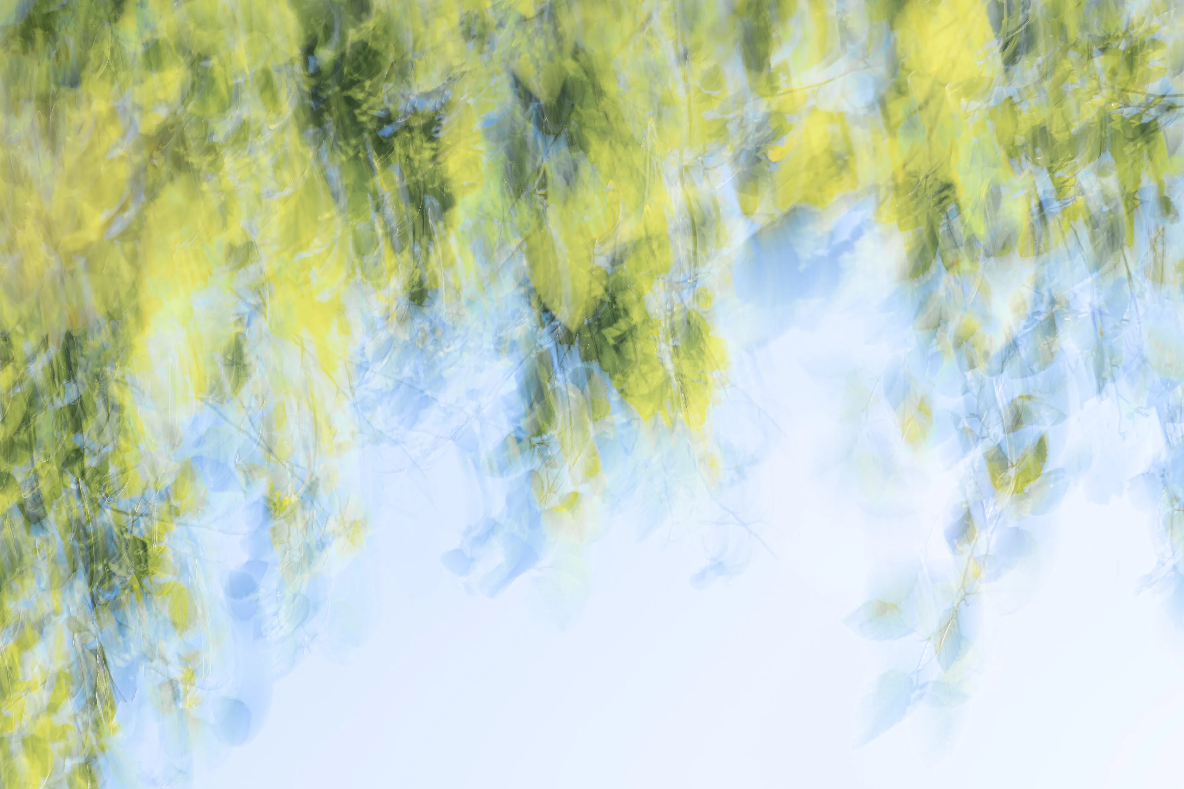 For the most part my approach to nature photography is based in literal representation. Even if the resulting photograph would take on more of an abstract form due to isolation and omission of the surrounding environment, the experience of photographing it and developing a relationship with it is always based in reality and a sense of photographing a specific THING whether it be a play of light, a unique moment in time, or an interesting subject. It still is and always will be because at the base of everything, that's the primary way that I interact with and experience nature.

This explorational series comes from a different emotional and mental place. These photos were taken not with the intent of that literal representation mentioned above but from a more visceral place, based more in an emotional reaction to what and where I'm photographing and putting pieces of the experience together into a single frame.They’re the result of a need to bring more fun and less pressure into my work. Honestly, it's hard to describe. But when I photograph in this way, I have noticed a distinct shift in the way that I am interpreting the environment, both mentally and emotionally, and that carries over into the way that I process the photo. Everything about making these photos feels... freeing.

I feel this approach calling to me more and more often lately. Photography has always been my antidote to the demons in my life and I’ve been busy battling a lot of them recently. By letting myself tap into a more relaxed and experimental approach I am able to push the boundaries on how I interact with the landscape, appreciating it for more than its literal inherent beauty and diving deeper into the things that make it special. It allows me to become more in touch with what ELSE nature is and what else it can be, further strengthening my relationship with it.

Another distinction between these images and the images in my other galleries is that often I'm not even sure how I made them. Sure I know which techniques I used, but in the process of taking the photograph I am blending different types of photos with different settings in-camera and not paying attention to the specific process. I'm mixing and matching and switching and experimenting. In my usual interactions with nature I am extremely cognizant of every decision that is being made: which settings I'm using, why I'm using those settings, the composition, and more. There is INTENT behind every single decision and I make them consciously despite the subconscious emotional connection and love with the subject that I’m photographing. These images are a departure from that conscious decision making.

All of these images are single frames made in camera using one or more creative camera techniques. I've purposefully left out any description of the techniques, the literal subject (though many of the subjects and techniques are easily identified), and the context in an effort to not cloud the emotional response to the images with preconceived attachments. If you find these images interesting or if they elicit emotions within you, I invite you to explore them, spend some time with them, and create your own journey.