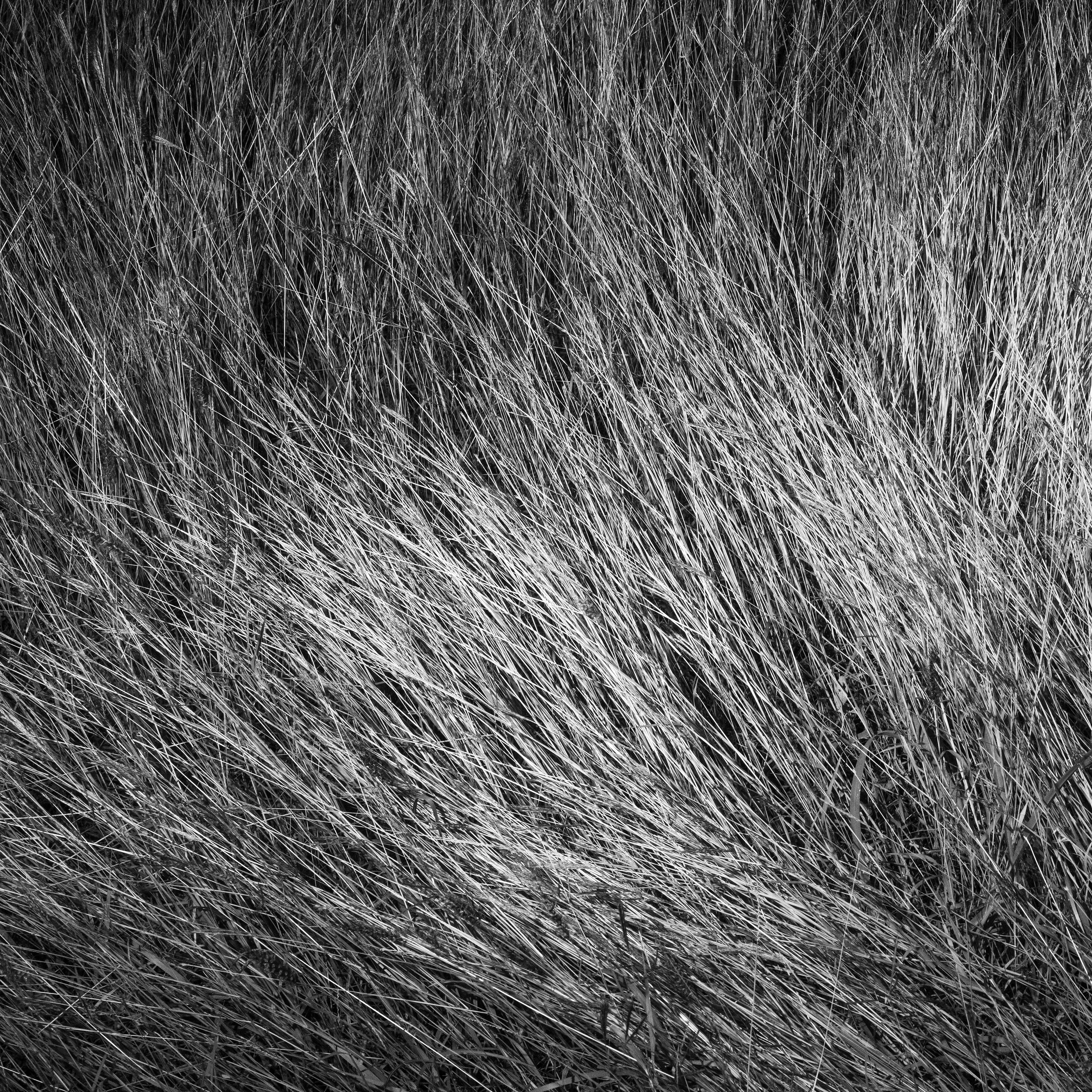 A body of work about the disconnect between self and space, and the notion of a broader reality than the immediately perceivable.

Made on a series of long walks late at night, this story about wandering and estrangement shows a collection of in-between scenes that seem to hide unsettling secrets. 