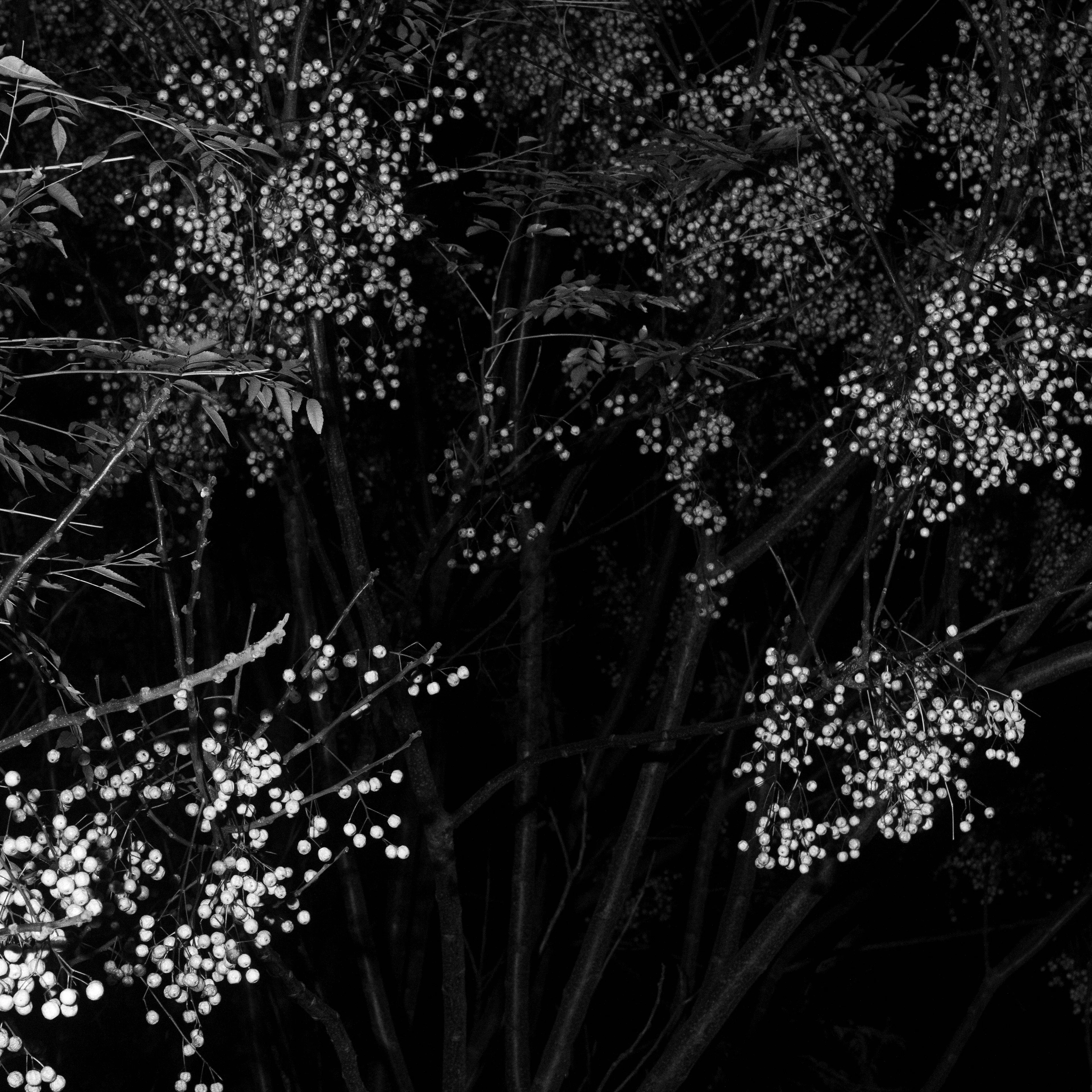 A body of work about the disconnect between self and space, and the notion of a broader reality than the immediately perceivable.

Made on a series of long walks late at night, this story about wandering and estrangement shows a collection of in-between scenes that seem to hide unsettling secrets. 