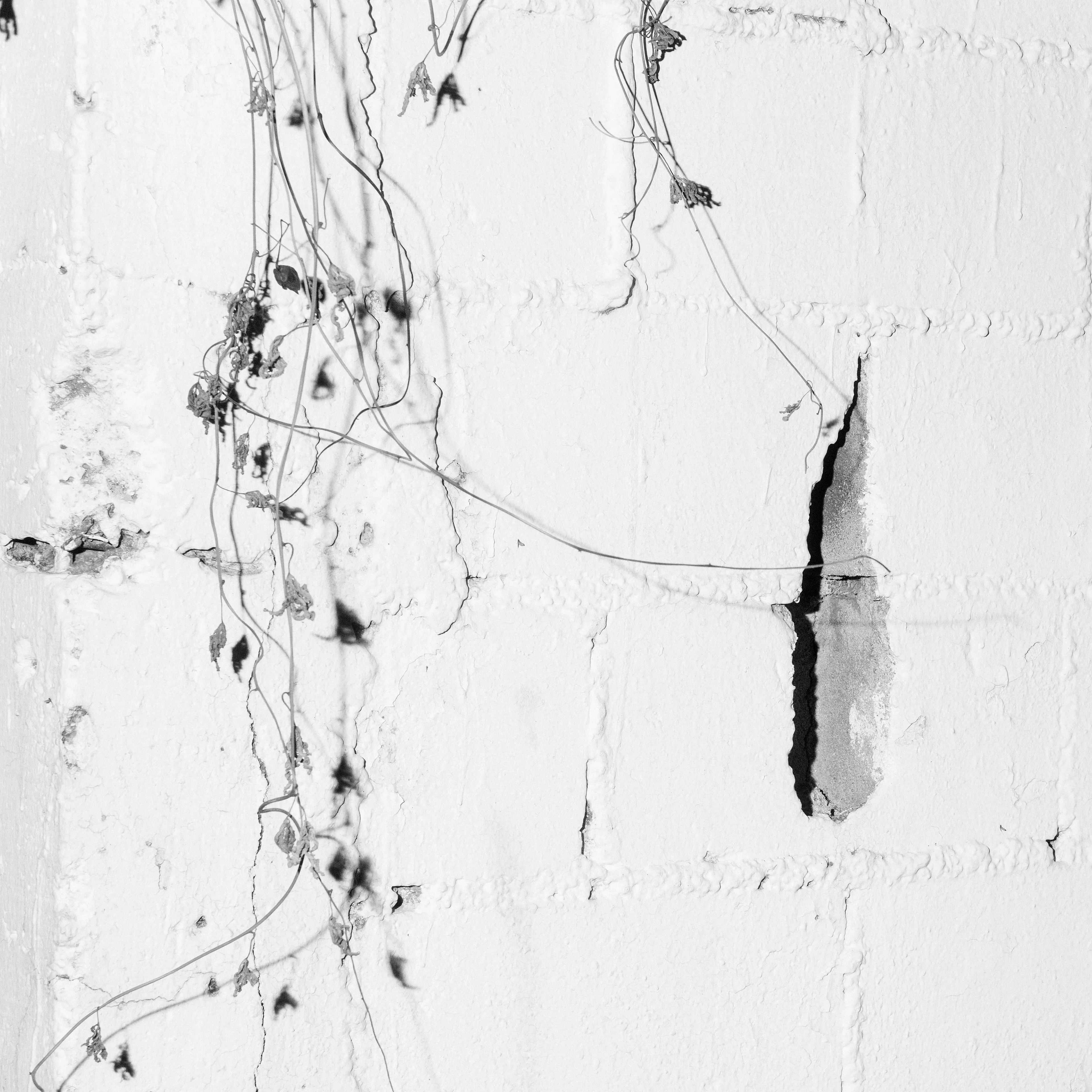 A body of work about the disconnect between self and space, and the notion of a broader reality than the immediately perceivable.

Made on a series of long walks late at night, this story about wandering and estrangement shows a collection of in-between scenes that seem to hide unsettling secrets. 