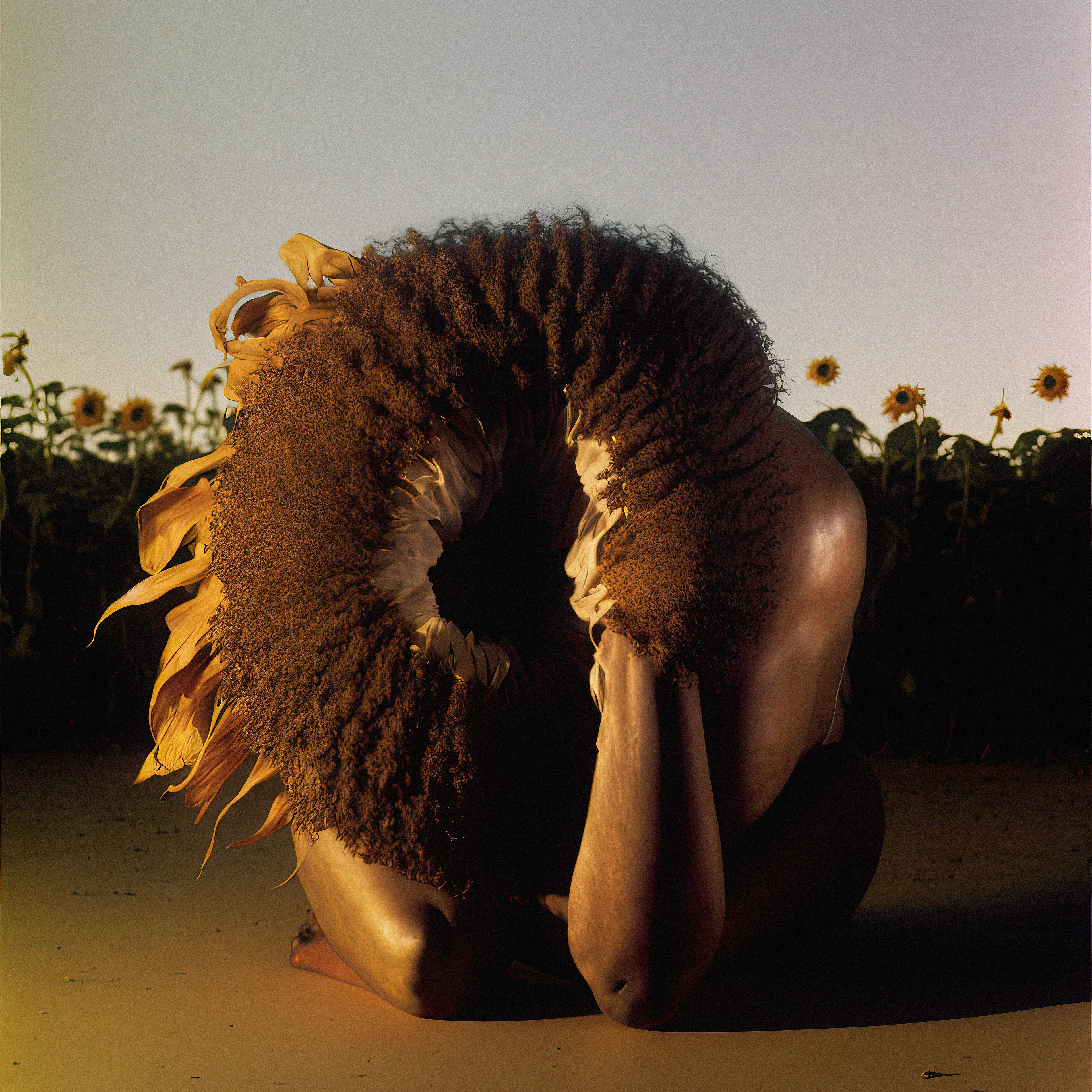 Some questions that are always at the forefront of my art practice: how do my images relate to the images that precede and surround them; what expectations are we bringing to images, and how are these expectations established and reinforced; what purpose do these expectations serve and how can we interact with these expectations?
AI image generators are a fascinating new tool for exploring these questions because they create images based upon a dataset of hundreds of millions of preexisting imagery but are otherwise unfettered by the preexisting expectations of visual culture. That is, they make new images based on predictions from all the images (and image tags) that precede them. However, they are not otherwise bound by human logic or cultural codes and therefore make images that reflect these codes in surprising and often challenging ways, like a funhouse mirror. There is a beautiful collapse of category distinctions and a dynamic interplay between un-indoctrinated naivety and an appreciation of precedent.



 Year: 2023

Edition: NFT 1 of 1

Copyright: © 2023 Charlie Engman. All Rights Reserved.

License: CC BY-NC-ND 4.0