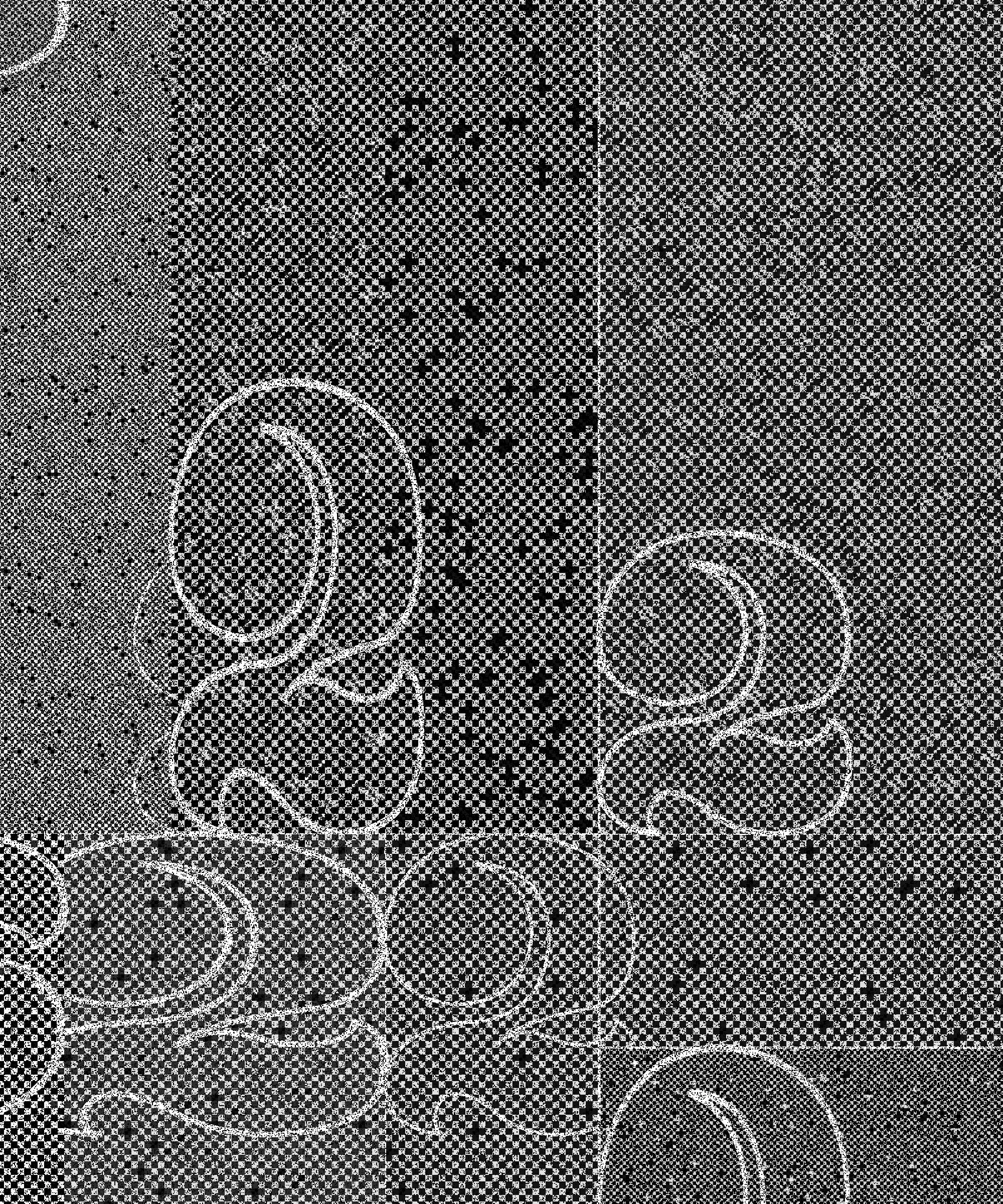 When I was working in graphic design and immersed in typography, I spent a year and a half designing this “2”. A personal obsession, I drew and redrew it hundreds of times until I felt it reached the perfect form in balance, weight, and drama.

This generative series revisits my captivation with this character object, using the algorithm as a tool for continued obsession and exploration. I want people to experience this collection and never see a “2” in the same way again. I also want to remind viewers that exquisiteness can exist in any mundane thing.

My background in graphic design and typography is ingrained in how I think. Regardless of medium, I have always been a designer of iteration, exhaustively trialing possibilities within a set of constraints to uncover the best way, or the most ways. Twos takes a “perfected” form and puts it to a further test. Different outputs situate the form in different contexts, look at it askew, or emphasize isolated parts of it for endless results.

The texture within the collection is inspired by low resolution effects (pixelation) and textures that arise from analog printmaking techniques and pen lines. It blends the hand-drawn nature of my original “2” with the power of obsessive exploration only possible with computer generative iteration. Layers of tiny squares, under and above the characters, are used to mimic the texture of a pen or a stamp. Found in much of my work, these “visible pixels” represent the physical module upon which digital art is created - and by calling back to pixel art, act as a reminder that code is still a craft, and the generated image isn’t far from the artist’s hand.

Beyond the beauty of the form, the number two is a special quantity because it implies possibilities beyond itself. A system containing zero or one elements is inert. Two creates an interaction, a dyad, and implies the possibility of more than two – an expanding system. In computer programming, this is expressed as the "zero, one, infinity" rule. The two represents a potentially endless continuation.

Each feature in the collection represents either the analog or the digital journey of this character. Some compositions render each symbol as linework, reminiscent of its earliest hand drawn form. Others render it as the solid numeral, completed after its long journey of iteration. Some compositions are gridded, others are organic and loose. Some are contained by a frame, others are open and unrestrained.

Color enters a few outputs: the mark of new technological tools like the first colored ink in printing, or the move from black and white to digital screens. The brightest hues used depend on light emittance of the screen and wouldn’t translate exactly when printed in standard inks. But in a further application of constraint, most outputs are neutral in color, keeping the focus on the formal obsession with this small, beautiful character.