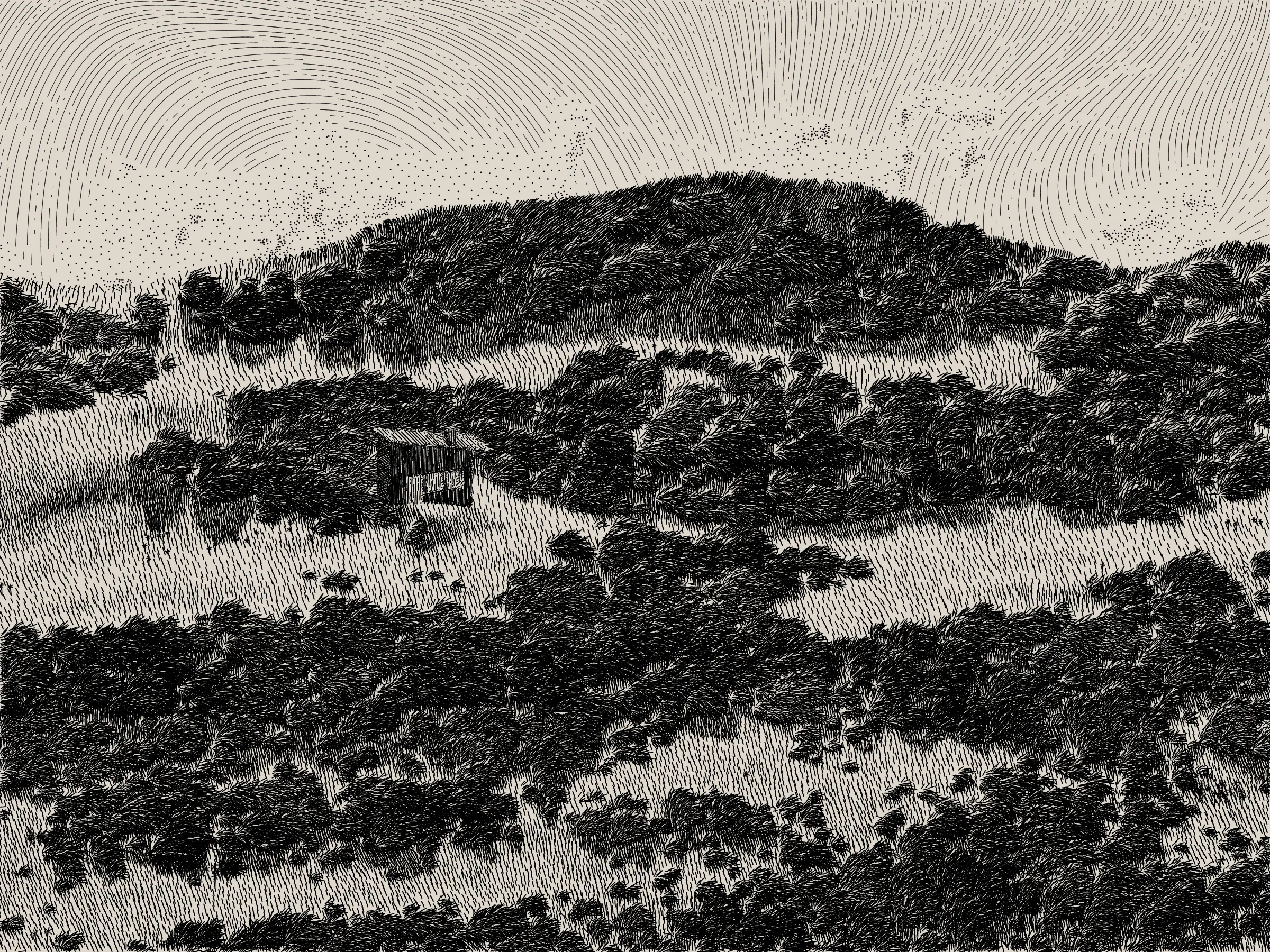 *Life and Love and Nothing is released as part of reGEN, a special charitable auction of generative art to raise funds for Cure Alzheimer’s Fund, curated by Alex Estorick and Foteini Valeonti in collaboration with The Giving Block.*

This is an illustration of a wildfire burning through a cabin and the surrounding hillside, rendered stylistically with pen and paper in mind. 

Once a year, the fire will ignite and burn until the cabin and the hillside are consumed. After burning, the cabin and the hillside will regenerate, and the cycle will start again.

The cabin represents a person, and the surrounding hillside their mind and memories.

The fire represents disease, burning through the person’s memories from the most recent and least established, through to the oldest and most ingrained.

My hope is that this can illustrate both the pain caused by disease and the beauty of the time we have to hold onto memories and loved ones.

Life is short, bodies degrade, houses burn. But, before that, there is life; there is love; there is creation – these things are beautiful.

Consider where you are placing your efforts.
Pursue what is important.
Take the time to see someone you love.
Take the time to do something you love.

There’s only so much time.