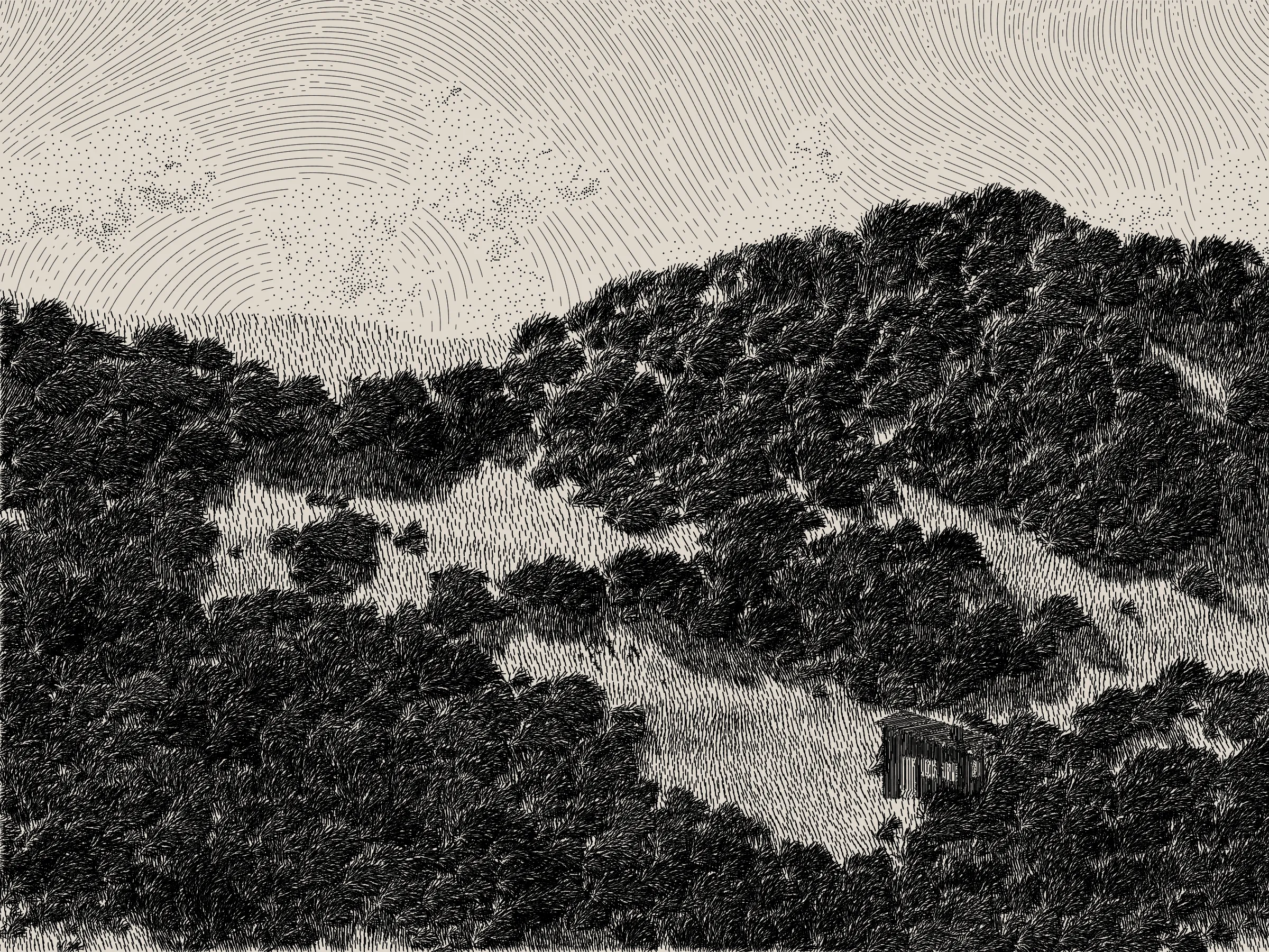 *Life and Love and Nothing is released as part of reGEN, a special charitable auction of generative art to raise funds for Cure Alzheimer’s Fund, curated by Alex Estorick and Foteini Valeonti in collaboration with The Giving Block.*

This is an illustration of a wildfire burning through a cabin and the surrounding hillside, rendered stylistically with pen and paper in mind. 

Once a year, the fire will ignite and burn until the cabin and the hillside are consumed. After burning, the cabin and the hillside will regenerate, and the cycle will start again.

The cabin represents a person, and the surrounding hillside their mind and memories.

The fire represents disease, burning through the person’s memories from the most recent and least established, through to the oldest and most ingrained.

My hope is that this can illustrate both the pain caused by disease and the beauty of the time we have to hold onto memories and loved ones.

Life is short, bodies degrade, houses burn. But, before that, there is life; there is love; there is creation – these things are beautiful.

Consider where you are placing your efforts.
Pursue what is important.
Take the time to see someone you love.
Take the time to do something you love.

There’s only so much time.