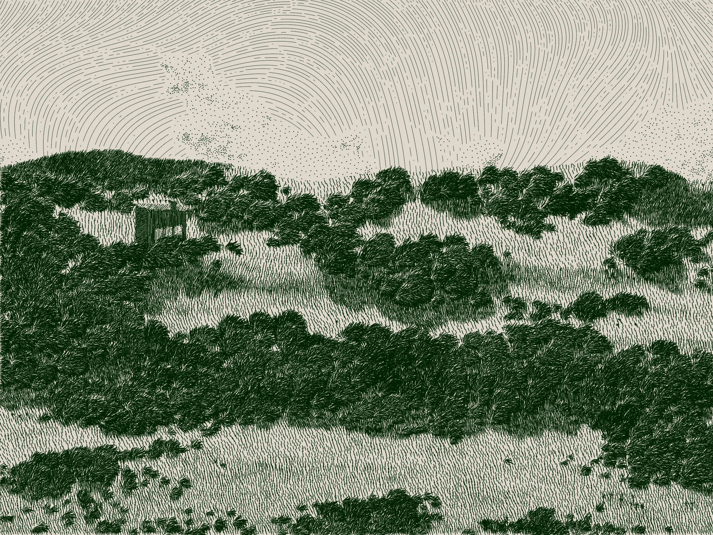 *Life and Love and Nothing is released as part of reGEN, a special charitable auction of generative art to raise funds for Cure Alzheimer’s Fund, curated by Alex Estorick and Foteini Valeonti in collaboration with The Giving Block.*

This is an illustration of a wildfire burning through a cabin and the surrounding hillside, rendered stylistically with pen and paper in mind. 

Once a year, the fire will ignite and burn until the cabin and the hillside are consumed. After burning, the cabin and the hillside will regenerate, and the cycle will start again.

The cabin represents a person, and the surrounding hillside their mind and memories.

The fire represents disease, burning through the person’s memories from the most recent and least established, through to the oldest and most ingrained.

My hope is that this can illustrate both the pain caused by disease and the beauty of the time we have to hold onto memories and loved ones.

Life is short, bodies degrade, houses burn. But, before that, there is life; there is love; there is creation – these things are beautiful.

Consider where you are placing your efforts.
Pursue what is important.
Take the time to see someone you love.
Take the time to do something you love.

There’s only so much time.