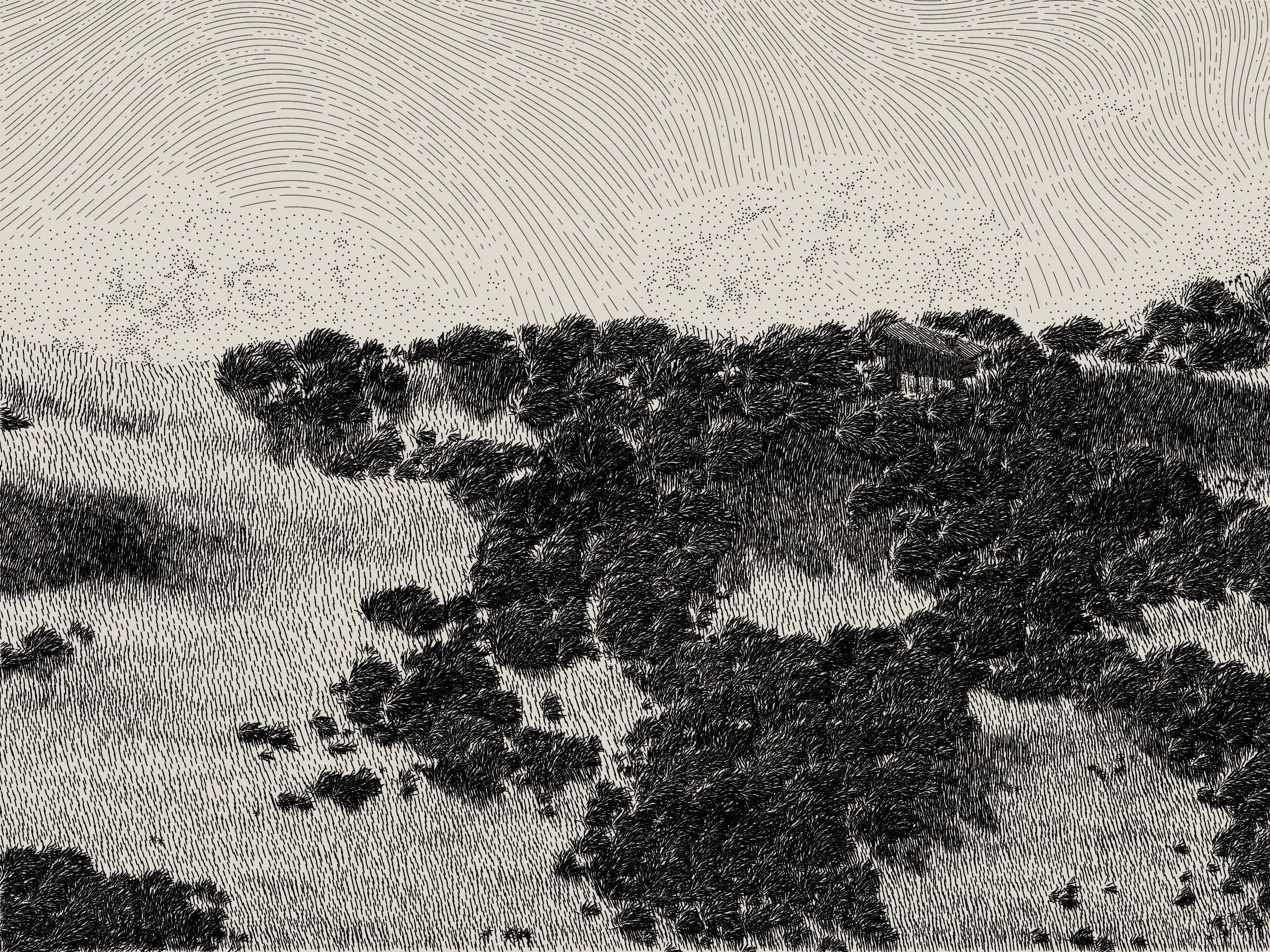 *Life and Love and Nothing is released as part of reGEN, a special charitable auction of generative art to raise funds for Cure Alzheimer’s Fund, curated by Alex Estorick and Foteini Valeonti in collaboration with The Giving Block.*

This is an illustration of a wildfire burning through a cabin and the surrounding hillside, rendered stylistically with pen and paper in mind. 

Once a year, the fire will ignite and burn until the cabin and the hillside are consumed. After burning, the cabin and the hillside will regenerate, and the cycle will start again.

The cabin represents a person, and the surrounding hillside their mind and memories.

The fire represents disease, burning through the person’s memories from the most recent and least established, through to the oldest and most ingrained.

My hope is that this can illustrate both the pain caused by disease and the beauty of the time we have to hold onto memories and loved ones.

Life is short, bodies degrade, houses burn. But, before that, there is life; there is love; there is creation – these things are beautiful.

Consider where you are placing your efforts.
Pursue what is important.
Take the time to see someone you love.
Take the time to do something you love.

There’s only so much time.