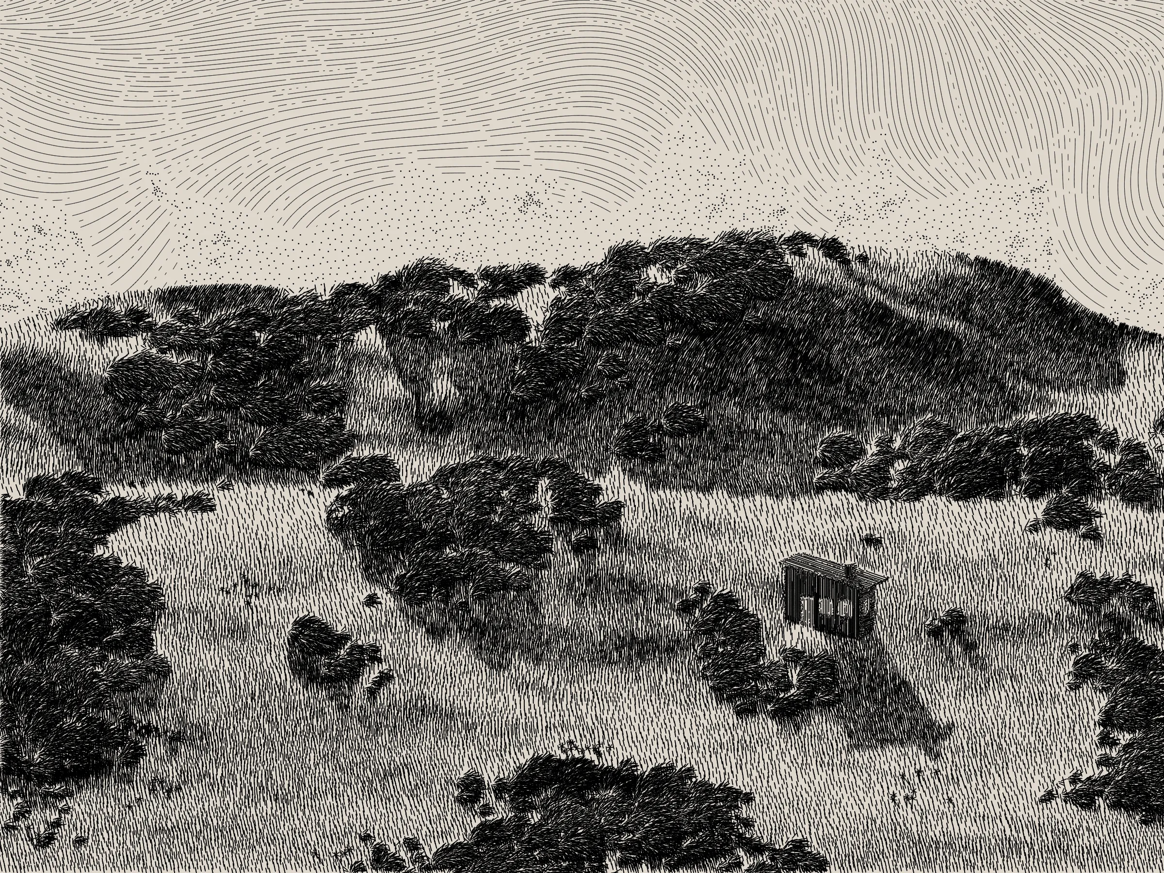 *Life and Love and Nothing is released as part of reGEN, a special charitable auction of generative art to raise funds for Cure Alzheimer’s Fund, curated by Alex Estorick and Foteini Valeonti in collaboration with The Giving Block.*

This is an illustration of a wildfire burning through a cabin and the surrounding hillside, rendered stylistically with pen and paper in mind. 

Once a year, the fire will ignite and burn until the cabin and the hillside are consumed. After burning, the cabin and the hillside will regenerate, and the cycle will start again.

The cabin represents a person, and the surrounding hillside their mind and memories.

The fire represents disease, burning through the person’s memories from the most recent and least established, through to the oldest and most ingrained.

My hope is that this can illustrate both the pain caused by disease and the beauty of the time we have to hold onto memories and loved ones.

Life is short, bodies degrade, houses burn. But, before that, there is life; there is love; there is creation – these things are beautiful.

Consider where you are placing your efforts.
Pursue what is important.
Take the time to see someone you love.
Take the time to do something you love.

There’s only so much time.