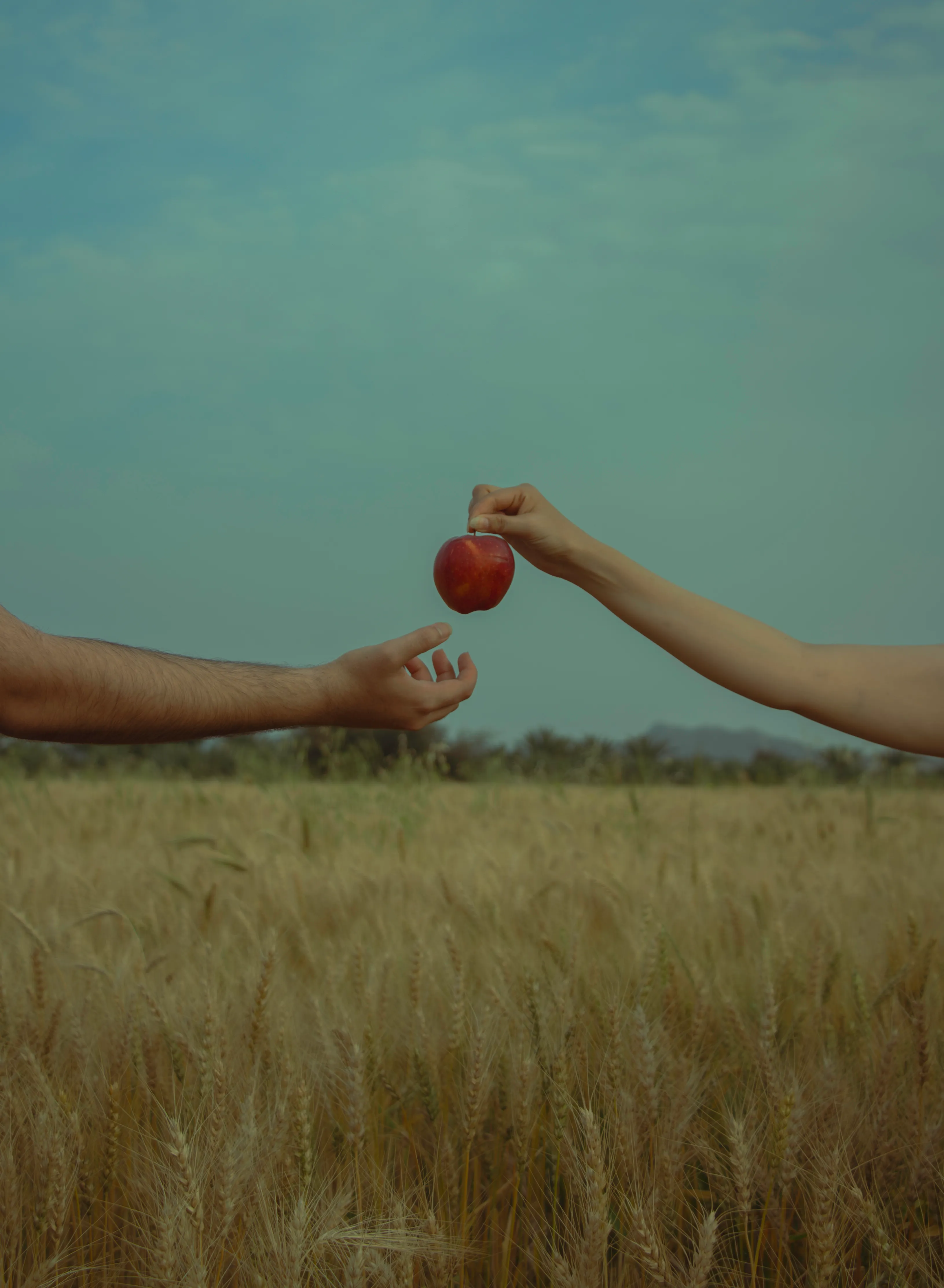 It was love of The Eve that made Adam eat the apple
he knows it’s forbidden fruit but didn’t want to leave Eve’s alone 
cause he knows that there will be a punishment.