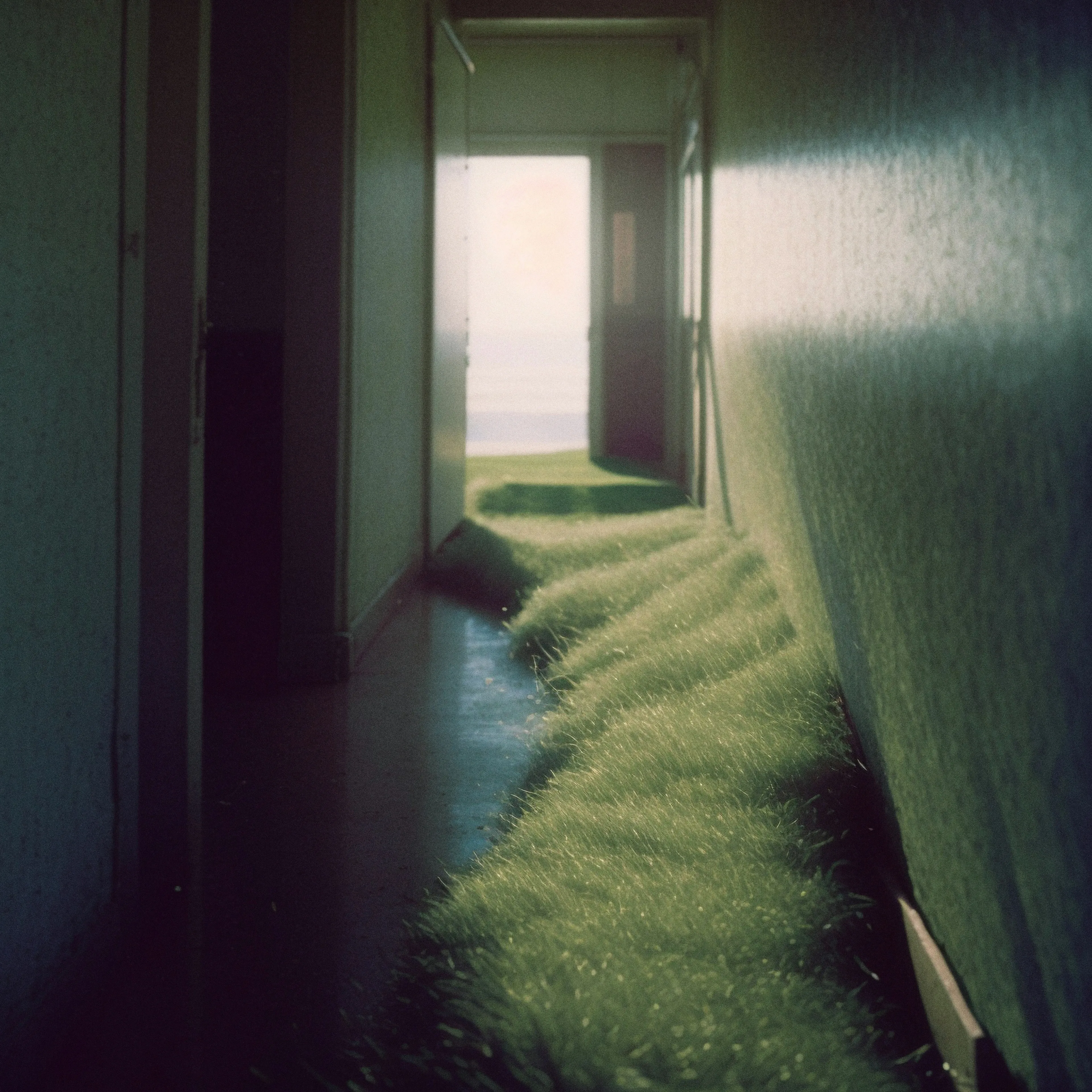 We're walking down a green trail. It will lead us to happiness.