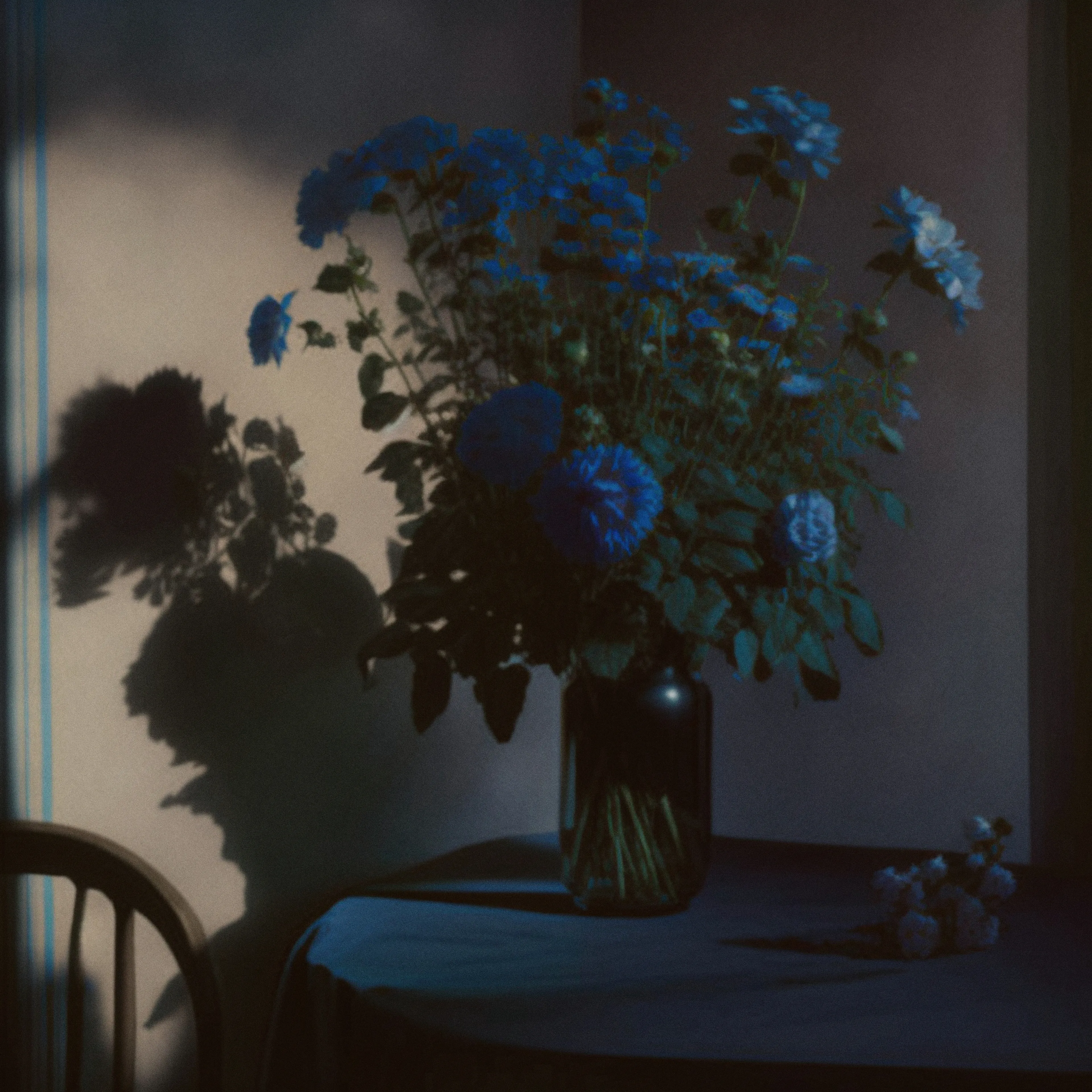 The Sunday table that falls asleep in the afternoon.