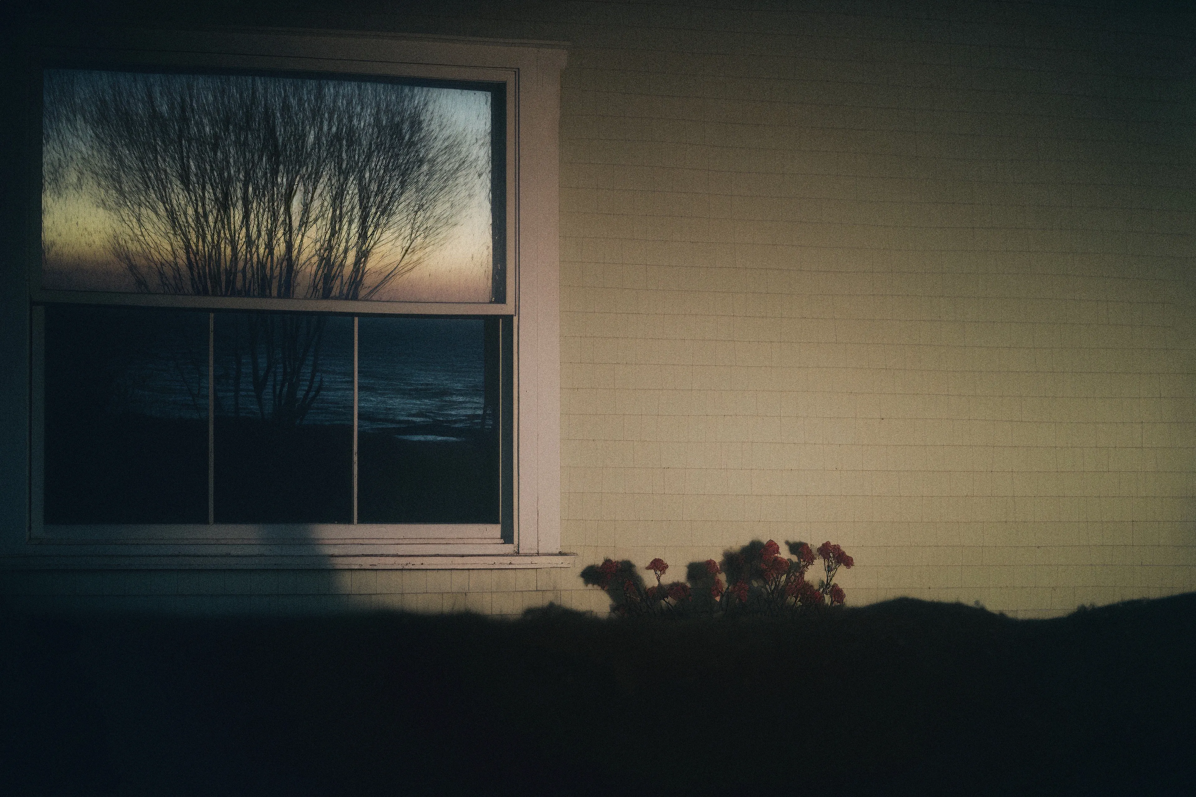 Art for a MAIF DEEP FAKE. 

A story about a sunset I remember from my childhood.