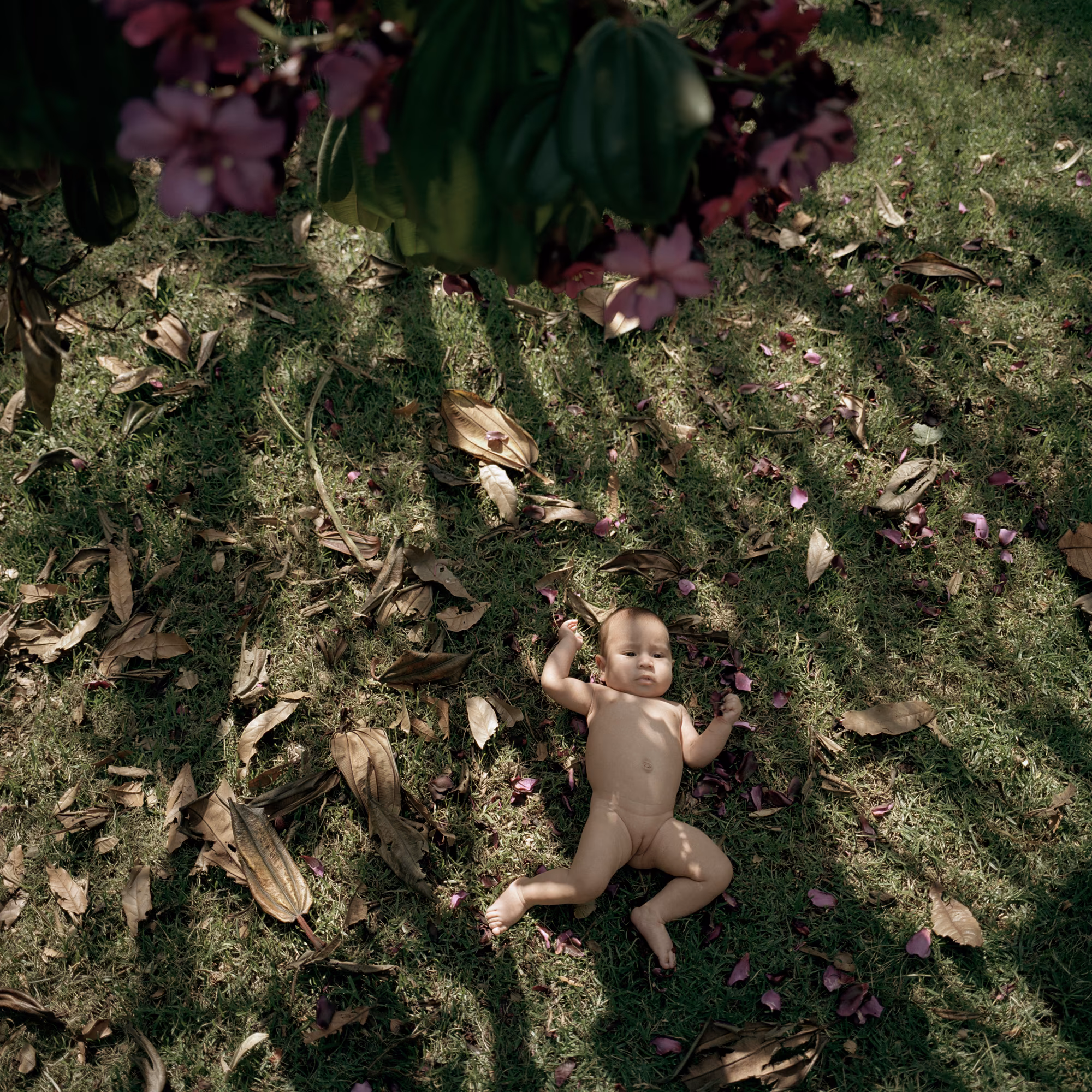 Assembly presents *Dog Days, Bogotá*, by award-winning Magnum photographer, Alec Soth. Rendered in his iconic style merging a documentary approach with a poetic sensibility, this project, one of his most personal to date, was made in Colombia during the adoption process of his daughter. In a book filled with letters, photos, and poems, he found a note his daughter’s birth mother wrote to her: “I hope that the hardness of the world will not hurt your sensitivity. When I think about you I hope that your life is full of beautiful things." These words became Soth’s mission statement as he set out to make his own book of the city of her birth describing the beauty found in a hard place. One of his earliest projects, it is minted here as his genesis NFT collection. Soth is one of the most celebrated American photographers and his work is in the collections of major museums worldwide including MoMA, The Whitney Museum of American Art, and the LA County Museum of Art.