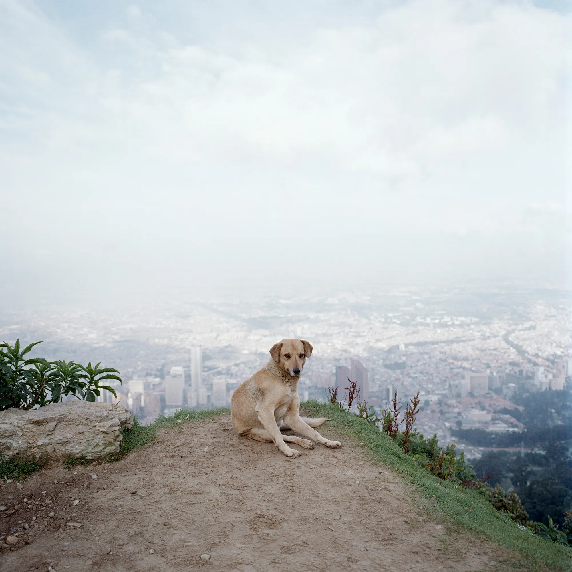 Assembly presents *Dog Days, Bogotá*, by award-winning Magnum photographer, Alec Soth. Rendered in his iconic style merging a documentary approach with a poetic sensibility, this project, one of his most personal to date, was made in Colombia during the adoption process of his daughter. In a book filled with letters, photos, and poems, he found a note his daughter’s birth mother wrote to her: “I hope that the hardness of the world will not hurt your sensitivity. When I think about you I hope that your life is full of beautiful things." These words became Soth’s mission statement as he set out to make his own book of the city of her birth describing the beauty found in a hard place. One of his earliest projects, it is minted here as his genesis NFT collection. Soth is one of the most celebrated American photographers and his work is in the collections of major museums worldwide including MoMA, The Whitney Museum of American Art, and the LA County Museum of Art.