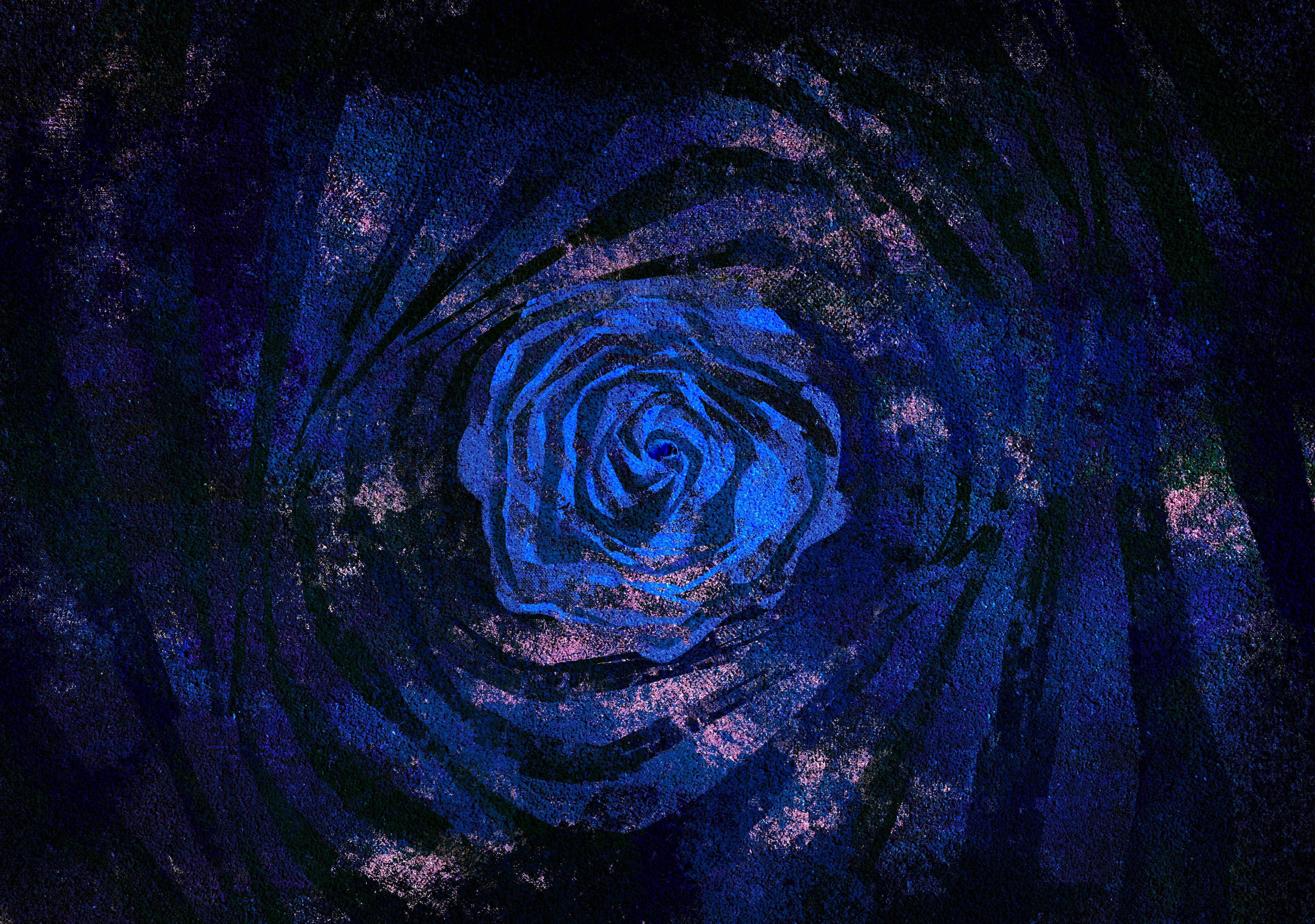 In the quiet aftermath of loss, a blue rose blooms—rare, delicate, and defiant. It symbolizes the courage to accept what cannot be changed. Moving forward doesn’t mean forgetting, but rather finding beauty in the midst of sorrow. Like the blue rose, resilience is born from the unexpected, offering hope in places we never thought to look. We carry the memory, but let it guide us forward, not hold us back.