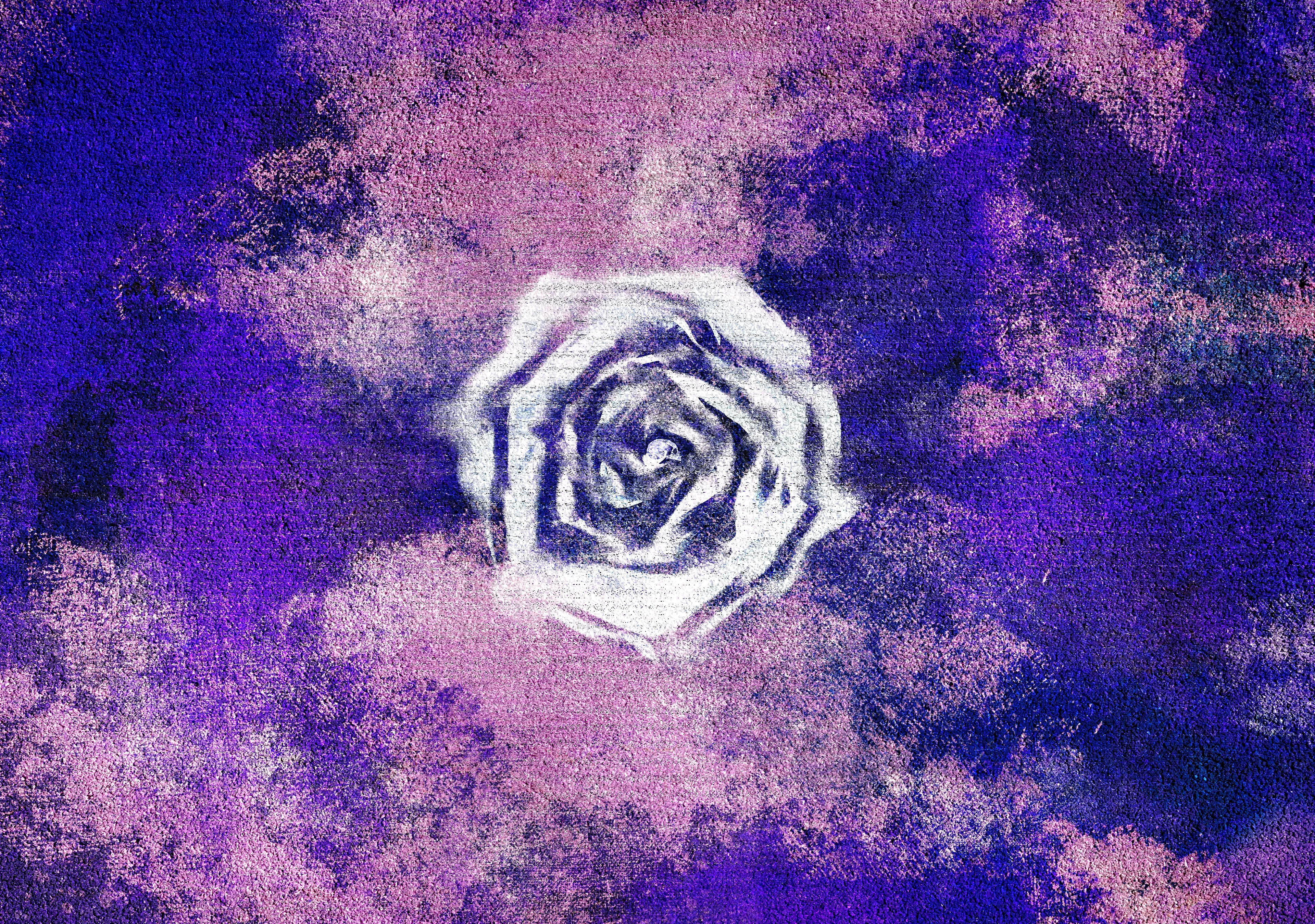 The white rose rests on the edge of oblivion, pure and ghostly, symbolizing a final release. For those who contemplate the end, it whispers of peace, a way to escape the pain that overwhelms. But the white rose is fragile, and in its pallor, it carries the weight of silence—a silence that holds no answers, only absence, leaving behind the stillness of a life cut too soon.