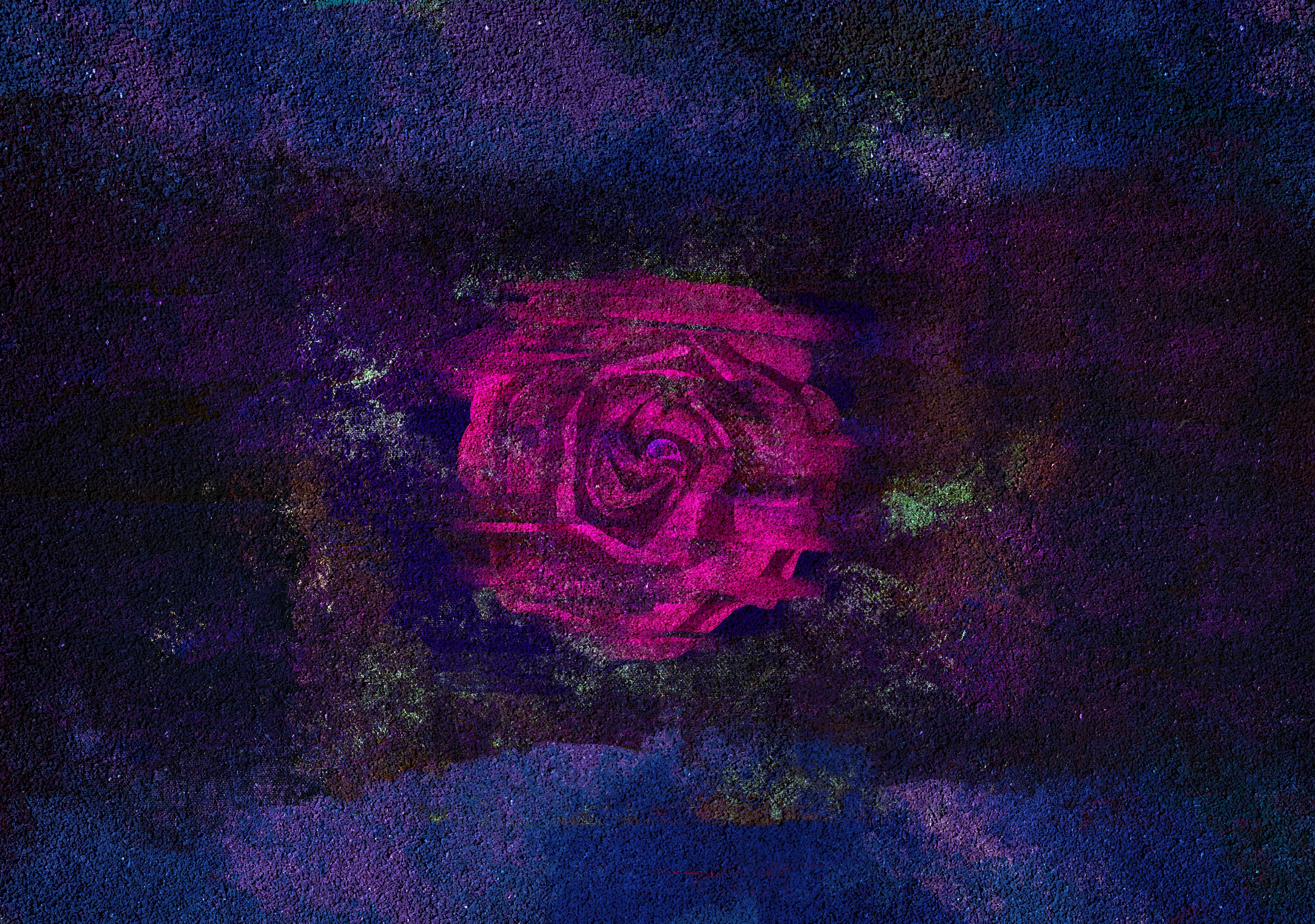 For some, death is a red rose—vivid and consuming. Its thorns prick deeply, the color of its petals a constant reminder of blood and loss. They linger, unable to move on, their minds tangled in the past. The rose's beauty becomes a trap, holding them in a place where life has stopped, where every day is spent searching for meaning in the petals of what’s already gone.