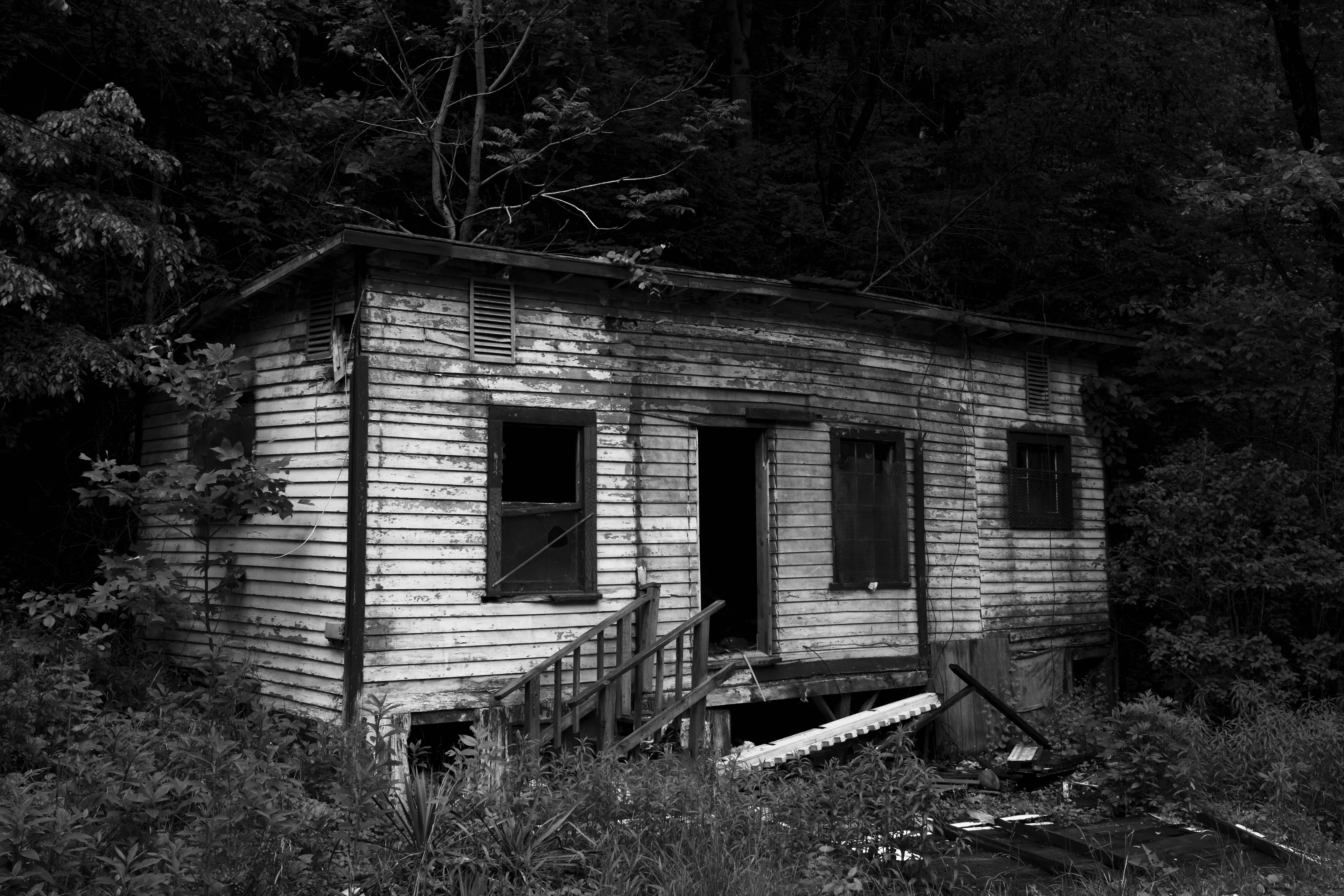 West Virginia and the Appalachian Mountains have an allure about them that is almost impossible to ignore. The country is rugged and so are the individuals who inhabit these mountains. As you ascend into the deep mountain of Appalachia, the roads begin to wind almost unimaginably. As you drive, sharp left and right turns seem to never end as Empress trees and Black Pines hug the roads like guardians of a passageway. Large metal structures from coal mines stand like old ruins. As you continue to drive deeper and deeper within the mountains small towns start to pop up, not more than 1/2 mile in length alongside Route 16. For every ten homes there seems to be a church, affirming that the presence of religion is strong and deeply rooted in these mountains. 

A small church by the name "The House of The Lord Jesus" sits on the side of the road in the quiet and humble town of Squire, with a population of fewer than 300 people. If you didn't know any better, you'd think it's just like all the other churches you pass by while driving up the windy mountain roads. This Holiness church practices what is called "signs following." The church is small and is run by pastor Chris Wolford. Twelve church pews (six on each side) take up the majority of the space. Old wood panels cover the walls and red burgundy carpet melds with a wood floor at the front of the church. As you walk down the center of the church you see women laying on their knees bent over the pews praying and crying before the service begins. The sound of rattlesnake rattlers fill the air and multiple boxes are laid out behind the pulpit, while the guitar begins to blair over the speakers at full volume. The music is incredible...with a mix of delta blues and bluegrass, it's a style of its own and specific to this type of worship within the applications. Women are spinning in their flowing dresses and their long hair is wrapped up in cloths. Chris grabs a mason jar. Within it is a mixture of water and strychnine poison. Small dixie cups line the front of the pulpit as he fills one and takes a shot. A bottle is brought out, stuffed with alcohol and homemade wick. He lights the top and flames rise above the glass bottle. He screams passionately in praises as he holds the bottle underneath his chin. He eventually passes the lit bottle to his mother as she also holds it under her chin and begins to spin in circles. Chris jumps and dances in a stomping manner and praises the Lord as beads of sweat and tears stream down his head and face. He reaches and grabs one of the wooden boxes from behind him, and flips open the plexiglass lid. He pulls out a diamondback rattlesnake and holds it straight into the air. He jumps around, dances, and screams in praise as the serpent rests in his hand and looks over the church. The energy is so palpable it makes the hair on the back of your neck stand up and the feeling is almost unexplainable.

There is death in this, as well as a lot of suffering for the church and this whole region of West Virginia. But I came to understand why the Appalachians have this mystic quality. They're full of love and compassion...you just have to sift through all the coal dust to find it.

Welcome to GLORYLAND.

A grant provided by Fellowship Futures supported this image and the minting of the GLORYLAND collection.
