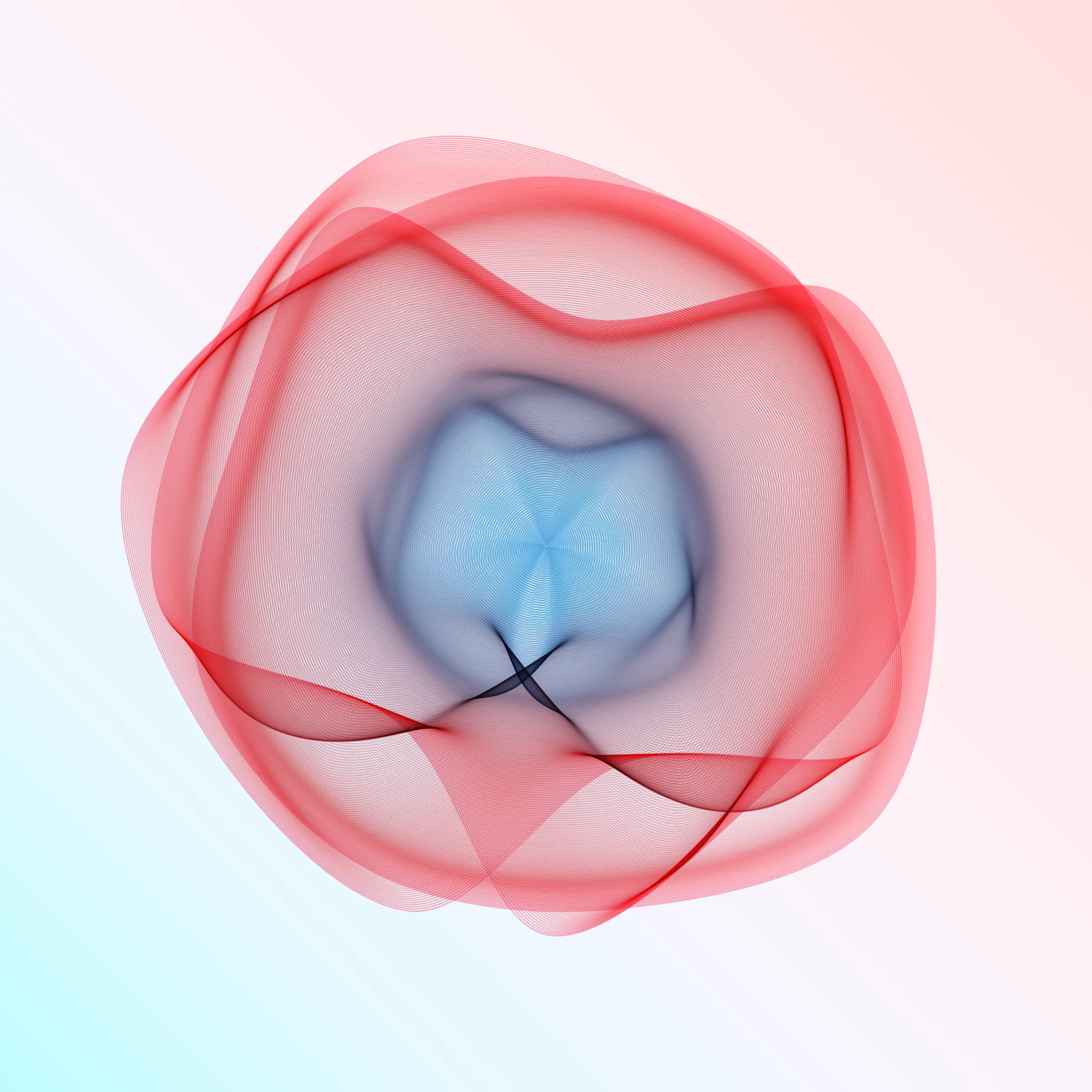 Beautiful bouquets of generative flowers, with fascinating diversity in numbers, shapes and colour combinations. Each one has its own personality, its own character, and is always stunning and surprising, as you can expect with flowers in their natural form.