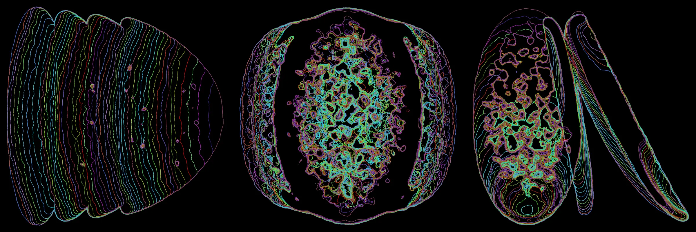 Primordial presents forms as diverse as those found in the natural world. The emergent system powering Primordial is capable of generating this diversity but is hard to control. After the initial generation there is a curation step; forms must meet certain criteria or the algorithm replaces them.

The forms produced by Primordial are presented in a triptych, as comparing multiple outputs is fundamental to understanding a generative algorithm. Primordial attempts to generate triptychs where the individual forms are related, and the results can be surprisingly harmonious or discordant.

Once the triptych is finalized, click on one of the forms to redraw a previous image. Press s to save the entire triptych, or 1-3 to save an individual image.