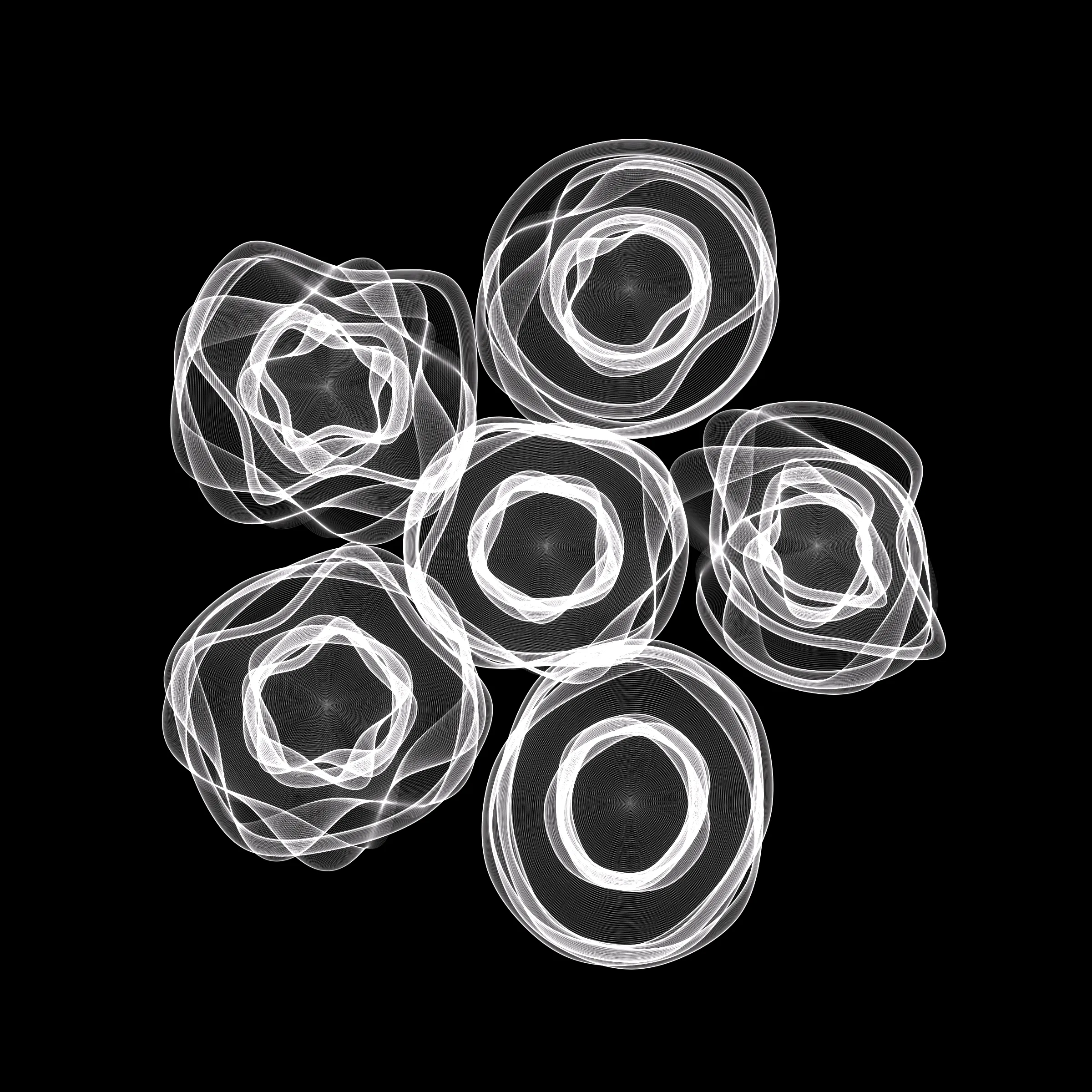 Beautiful bouquets of generative flowers, with fascinating diversity in numbers, shapes and colour combinations. Each one has its own personality, its own character, and is always stunning and surprising, as you can expect with flowers in their natural form.