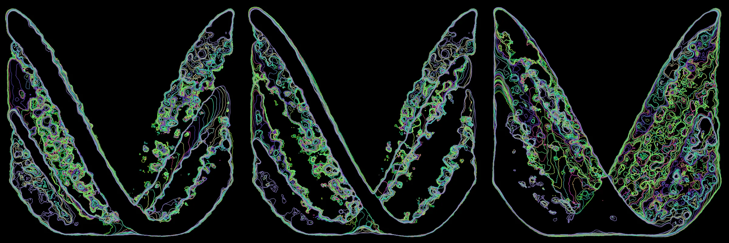 Primordial presents forms as diverse as those found in the natural world. The emergent system powering Primordial is capable of generating this diversity but is hard to control. After the initial generation there is a curation step; forms must meet certain criteria or the algorithm replaces them.

The forms produced by Primordial are presented in a triptych, as comparing multiple outputs is fundamental to understanding a generative algorithm. Primordial attempts to generate triptychs where the individual forms are related, and the results can be surprisingly harmonious or discordant.

Once the triptych is finalized, click on one of the forms to redraw a previous image. Press s to save the entire triptych, or 1-3 to save an individual image.