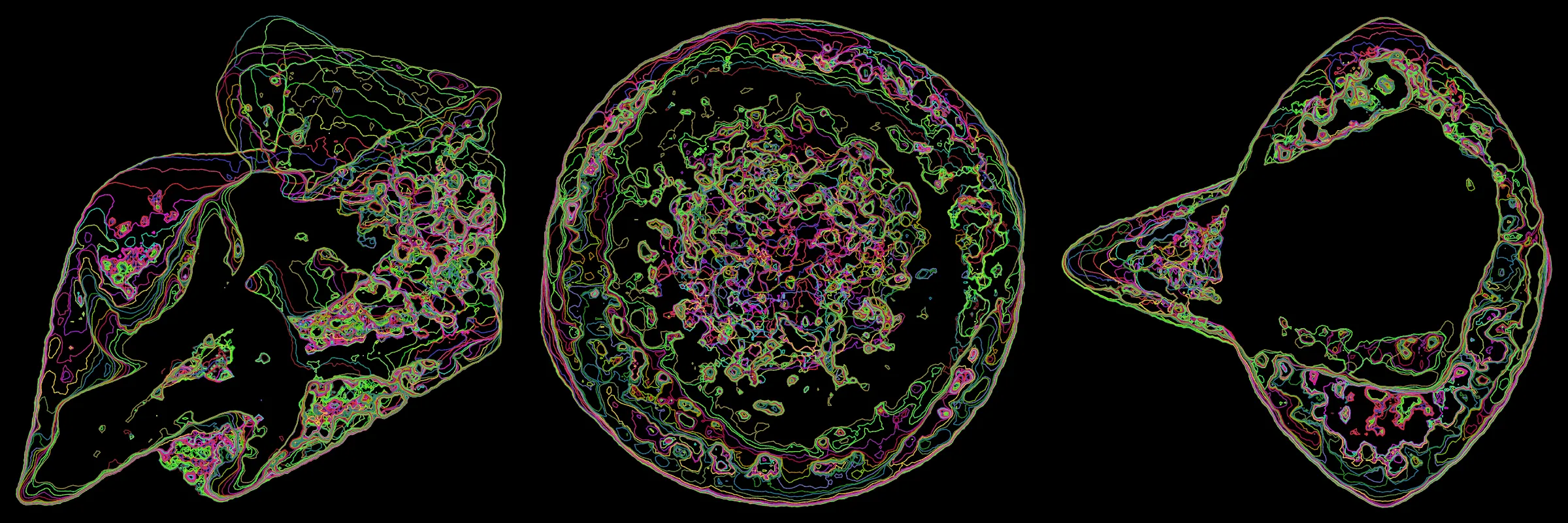 Primordial presents forms as diverse as those found in the natural world. The emergent system powering Primordial is capable of generating this diversity but is hard to control. After the initial generation there is a curation step; forms must meet certain criteria or the algorithm replaces them.

The forms produced by Primordial are presented in a triptych, as comparing multiple outputs is fundamental to understanding a generative algorithm. Primordial attempts to generate triptychs where the individual forms are related, and the results can be surprisingly harmonious or discordant.

Once the triptych is finalized, click on one of the forms to redraw a previous image. Press s to save the entire triptych, or 1-3 to save an individual image.